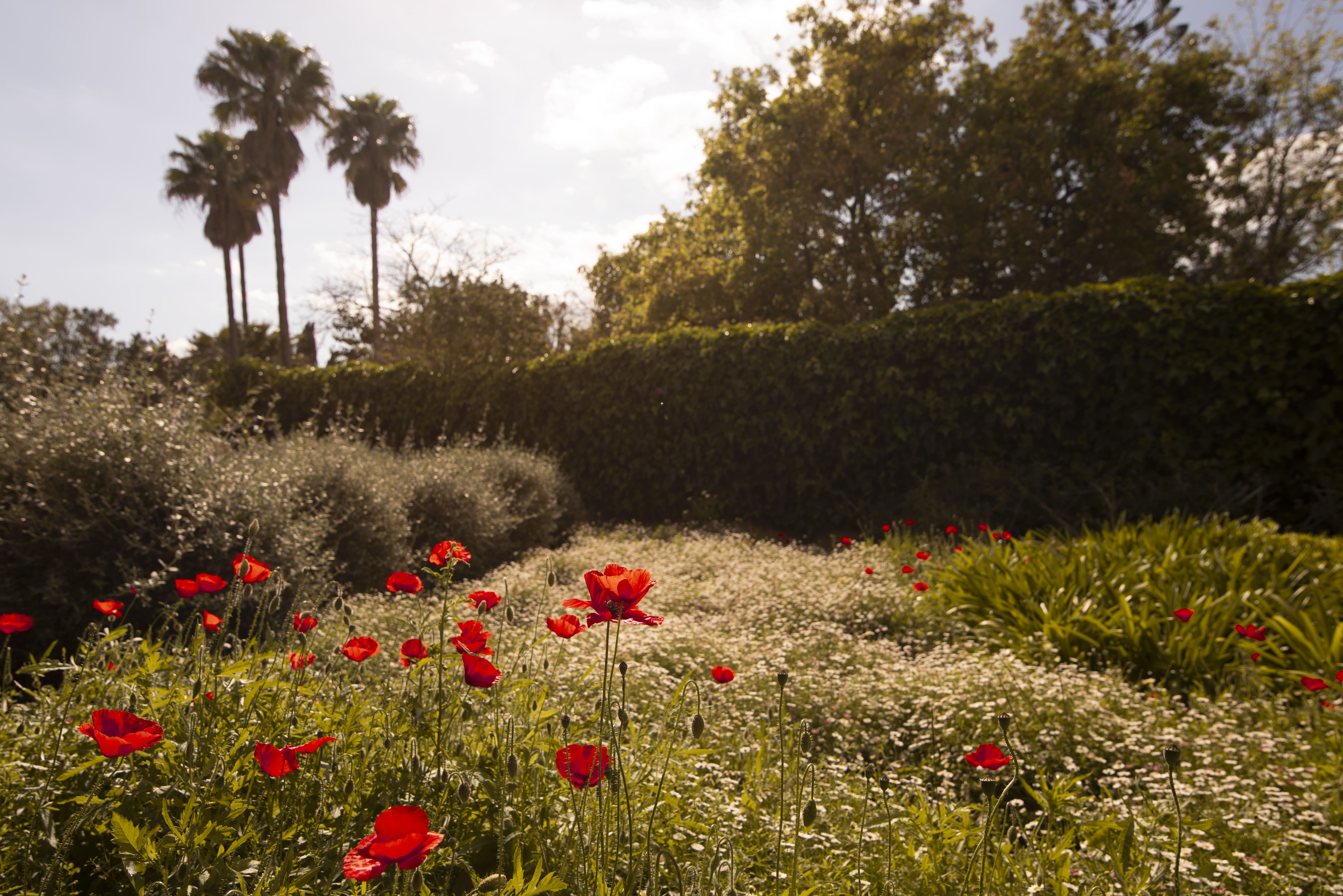 Aumallia Hotel & Spa