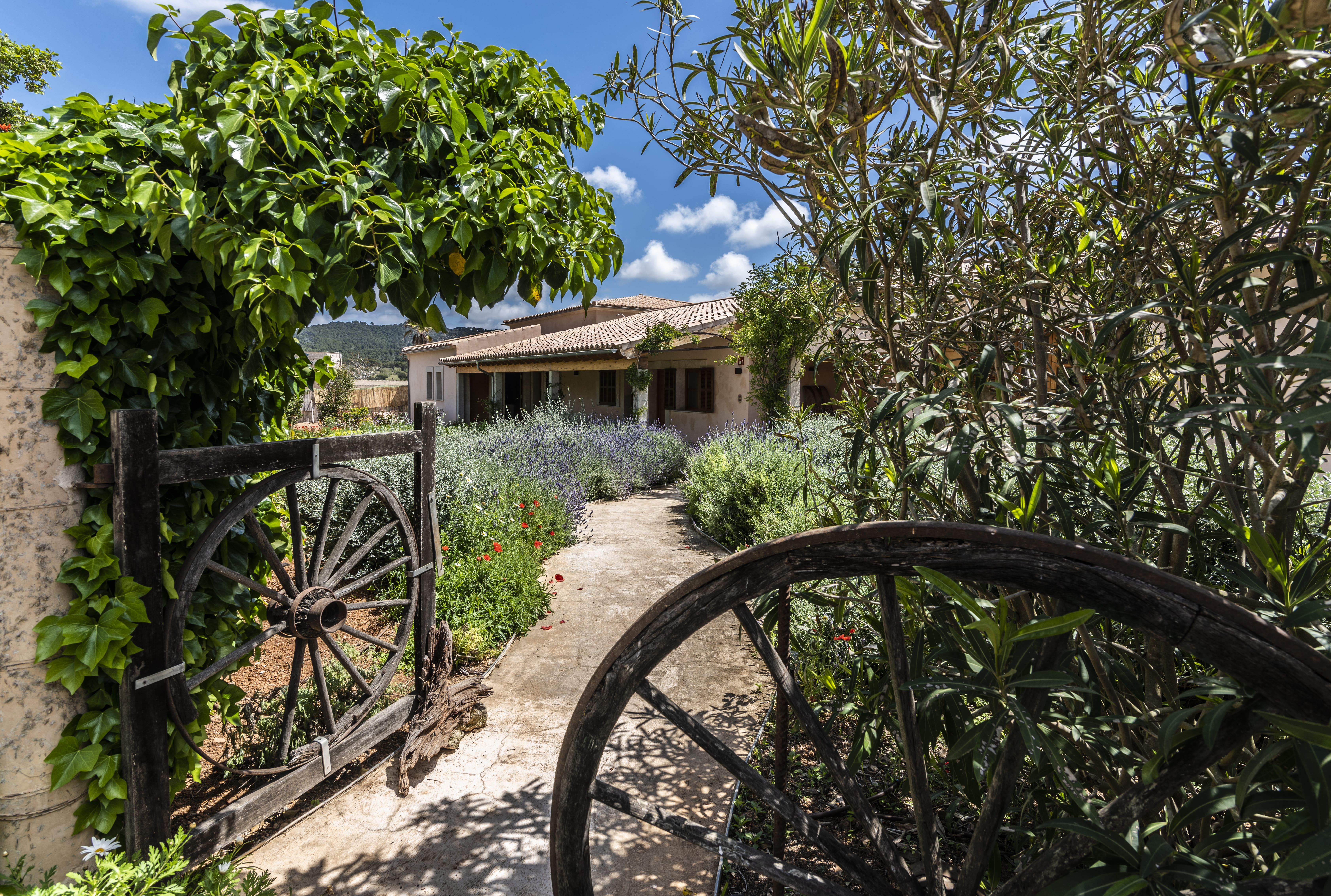 Aumallia Hotel & Spa