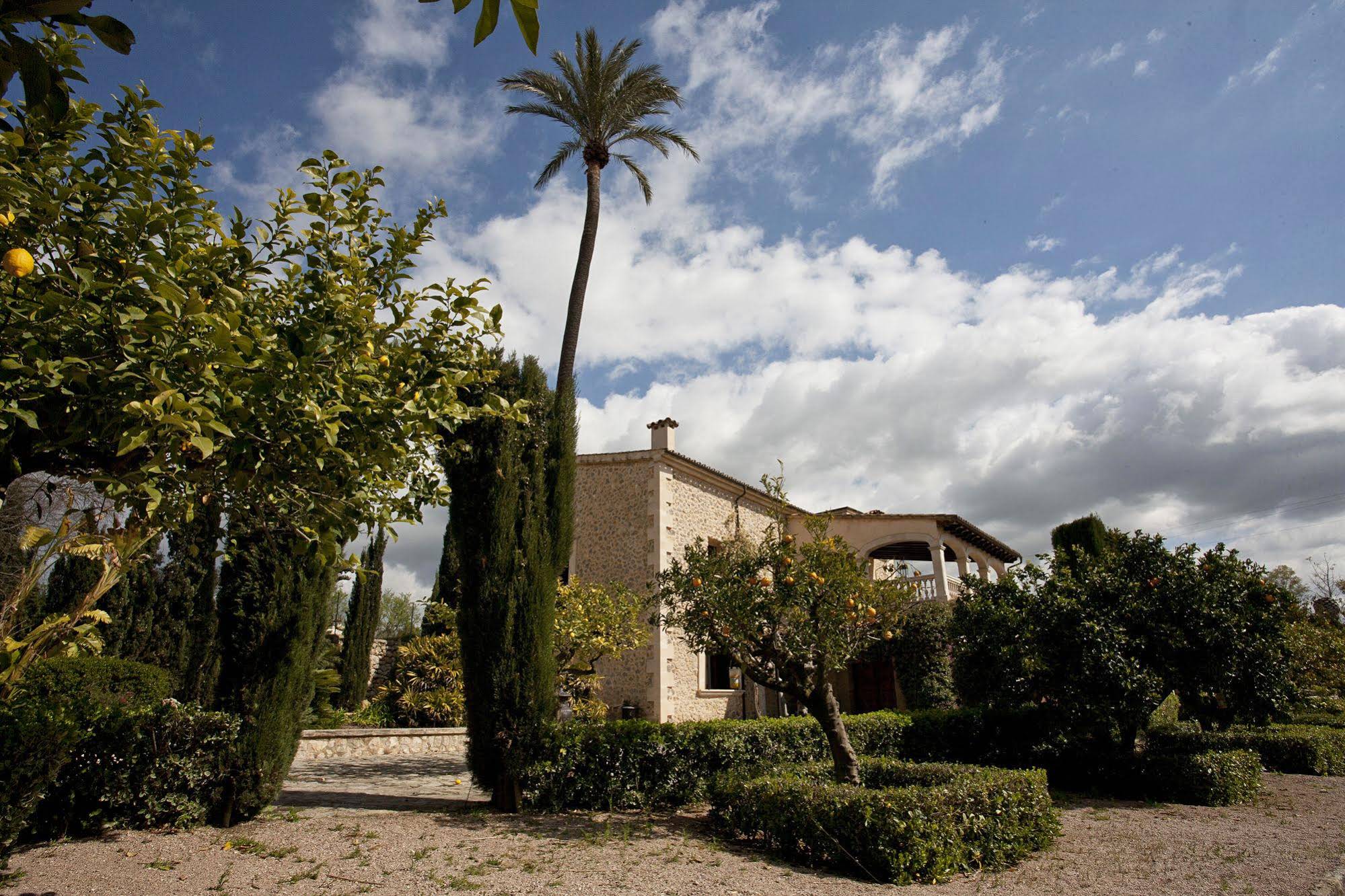 Sa Vinya des Convent