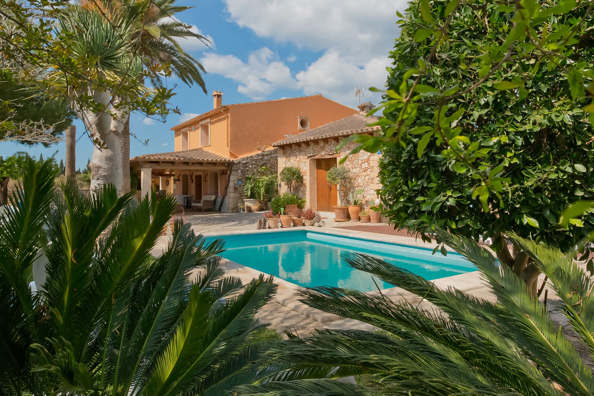 Villa Erika
