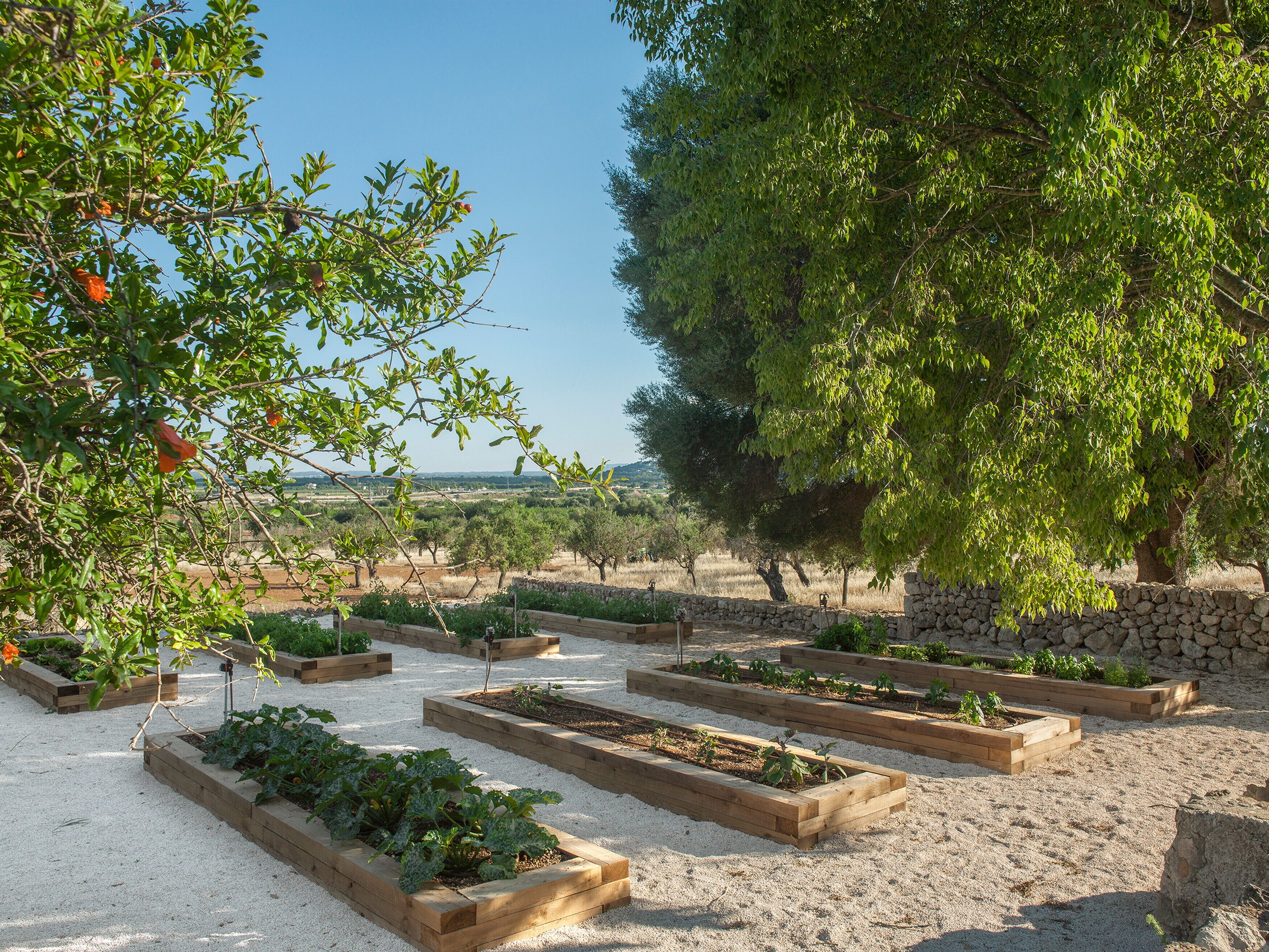 The Lodge Mallorca