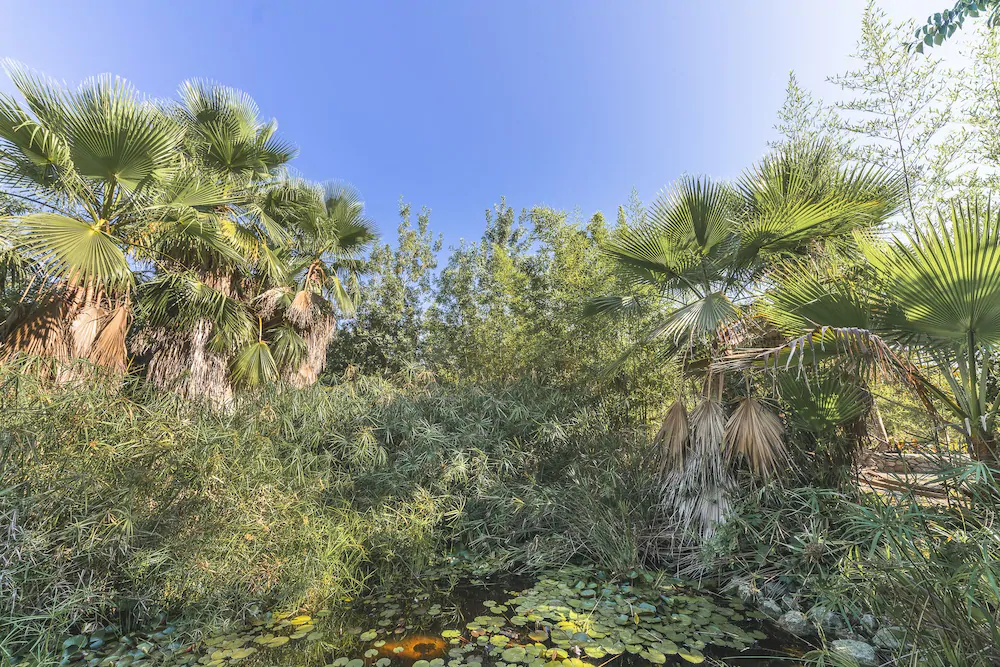 Historical Country House Villa Can Mir