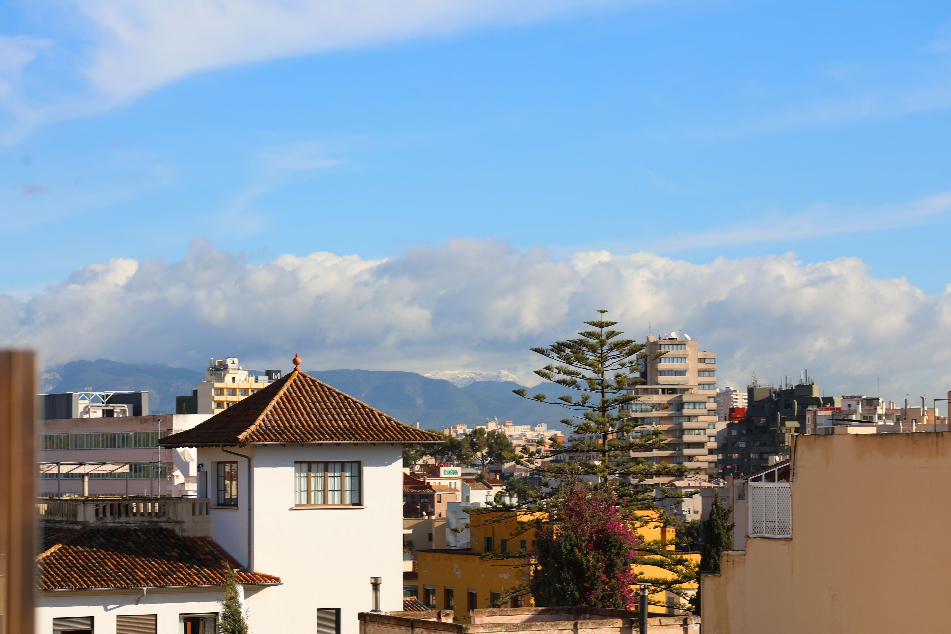 Hotel Sercotel Zurbarán Palma