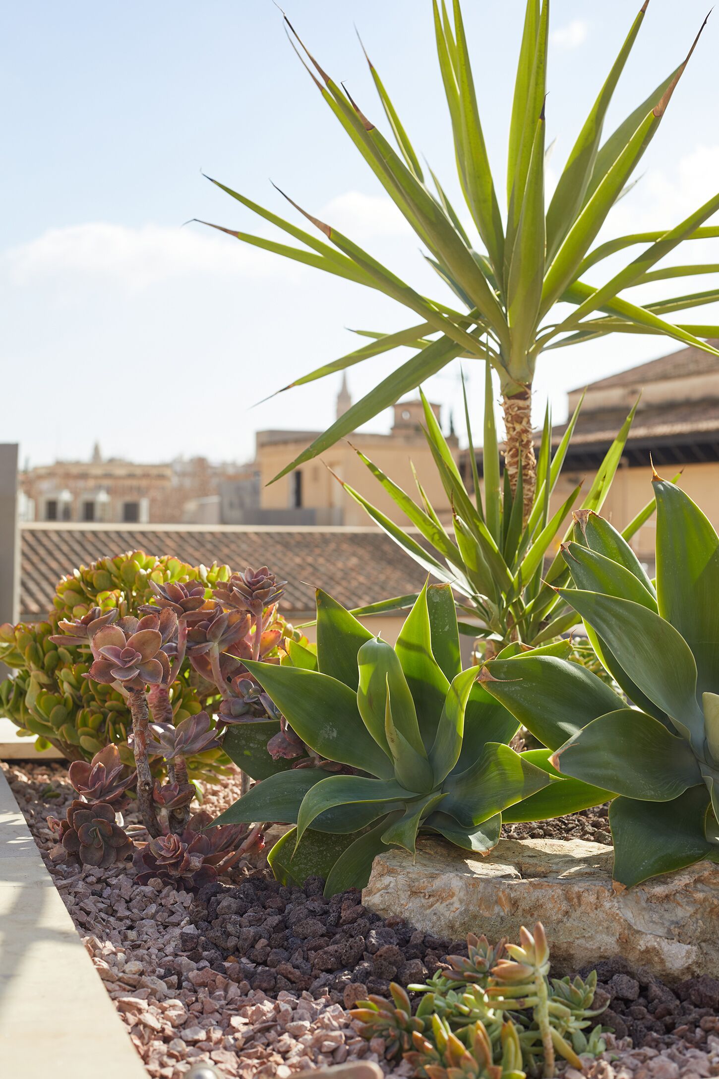 Palma Riad