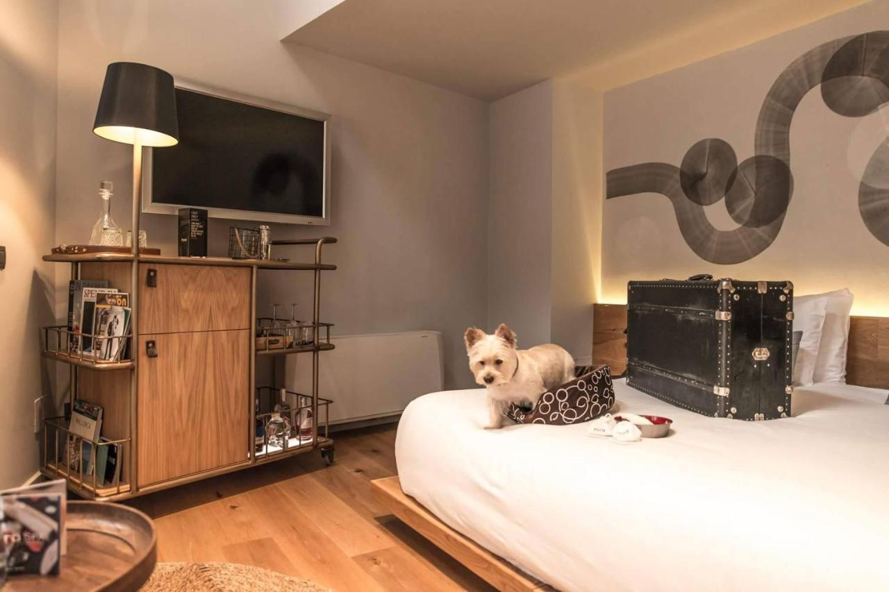 Puro Hotel Oasis Urbano