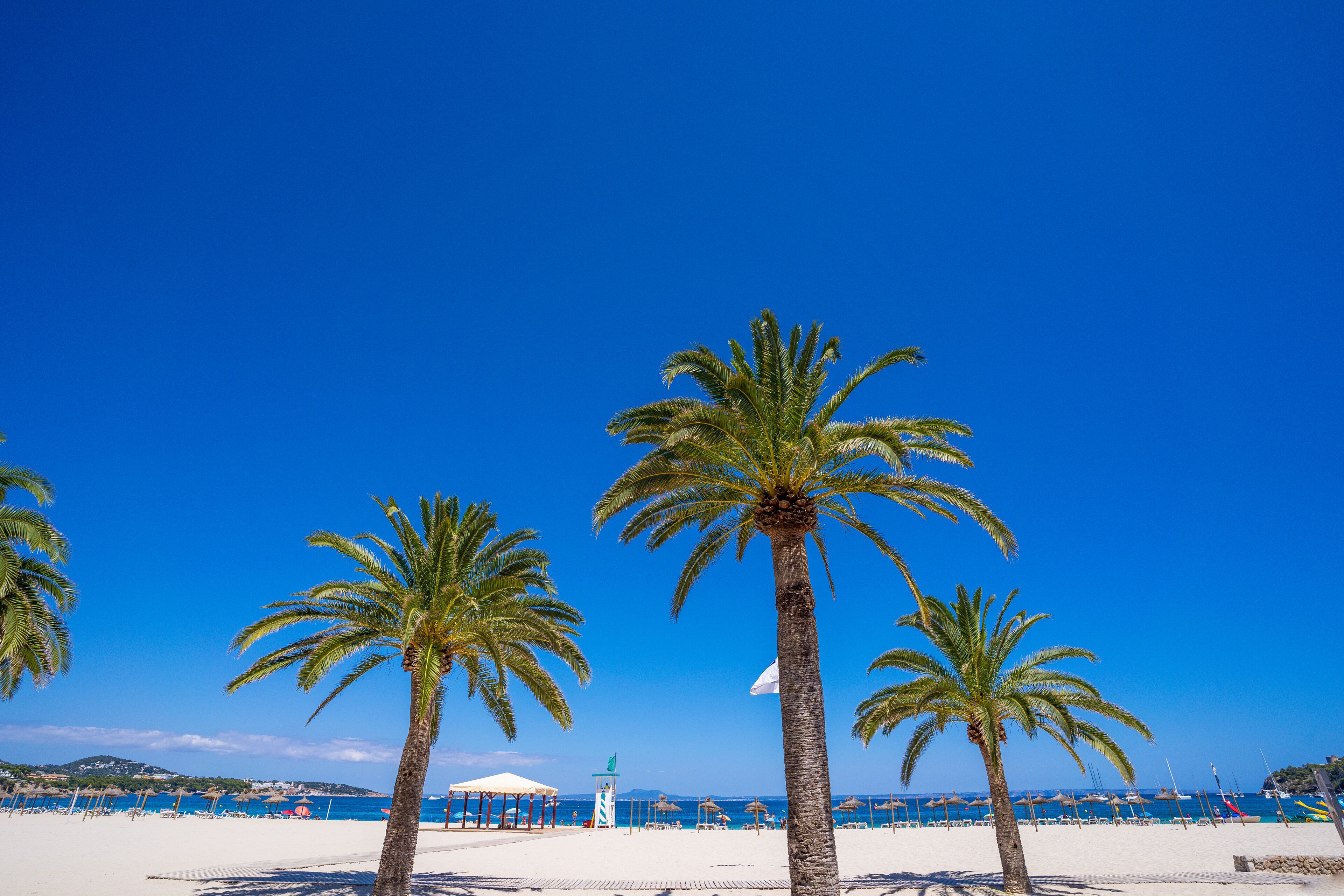 Econotel Las Palomas