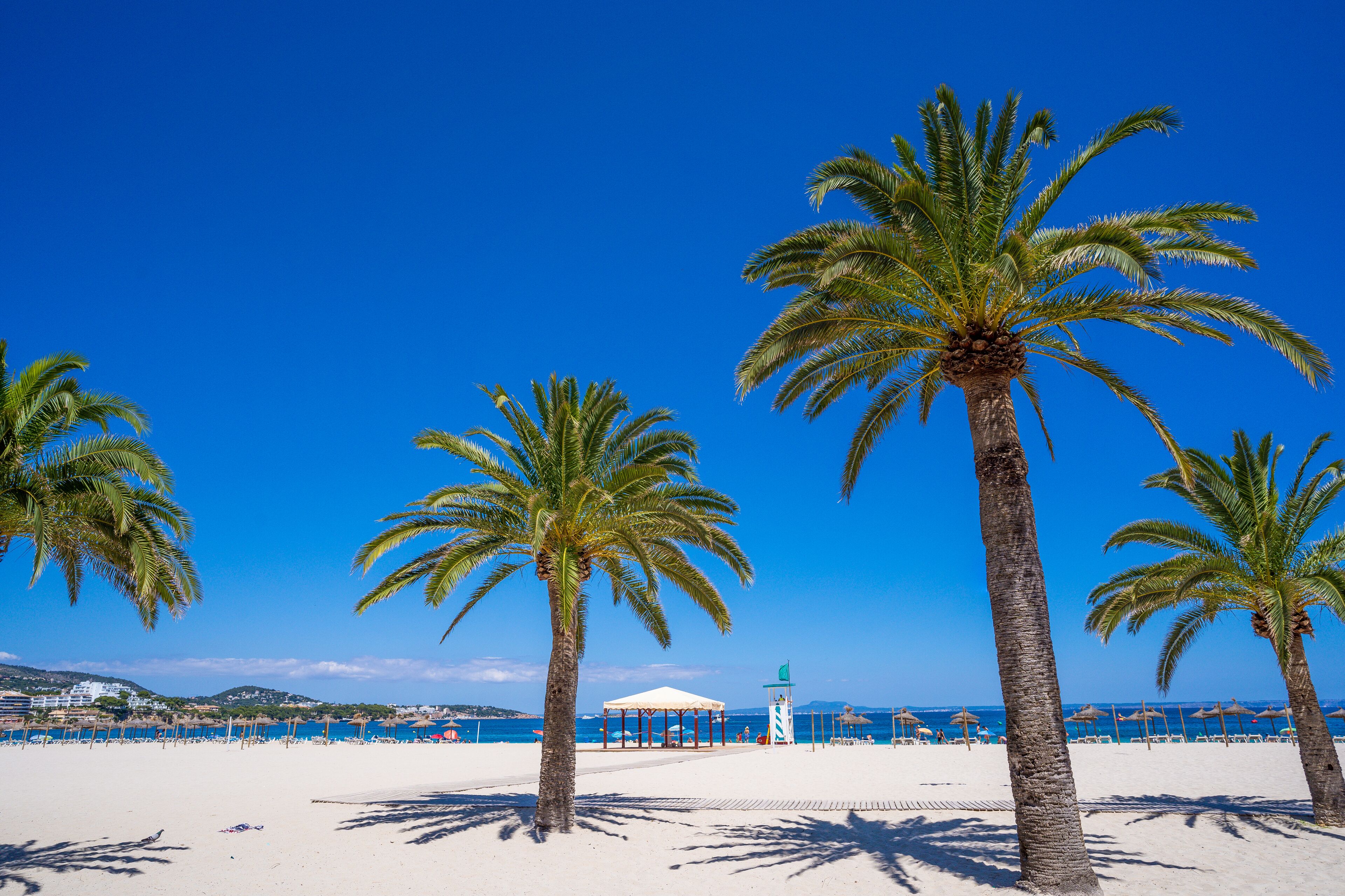 Econotel Las Palomas