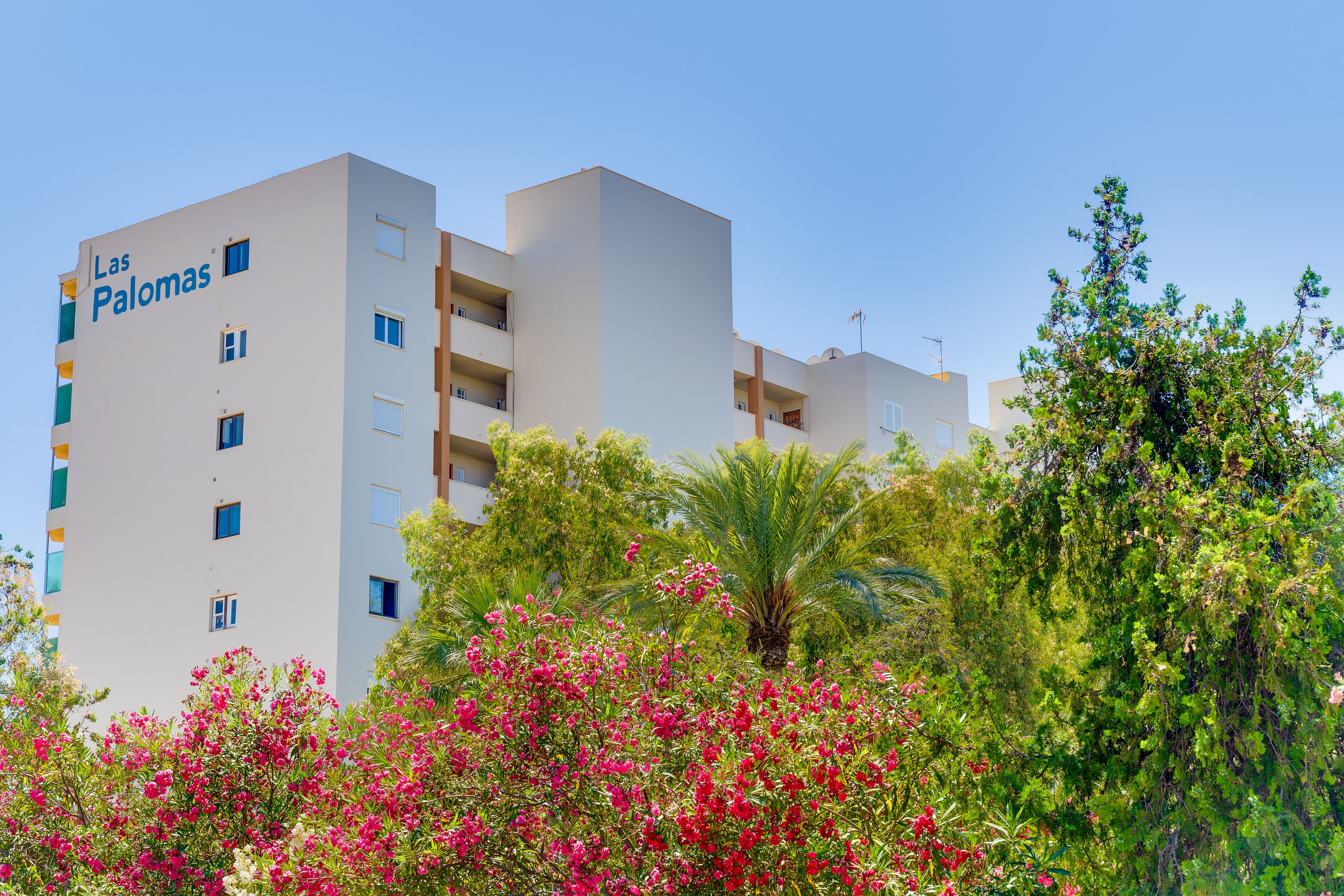 Econotel Las Palomas