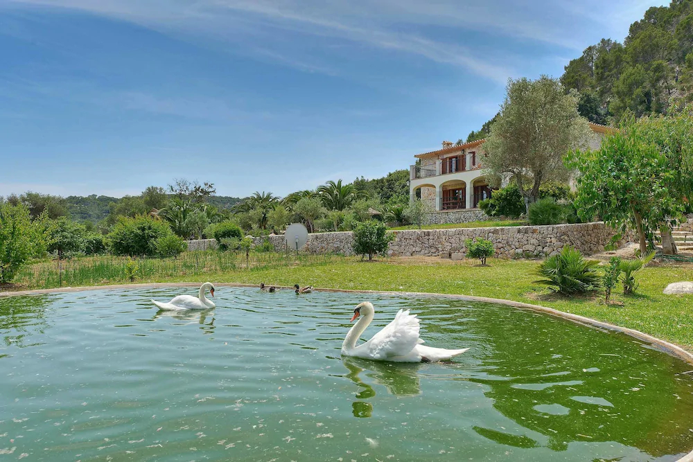 Finca Plomera