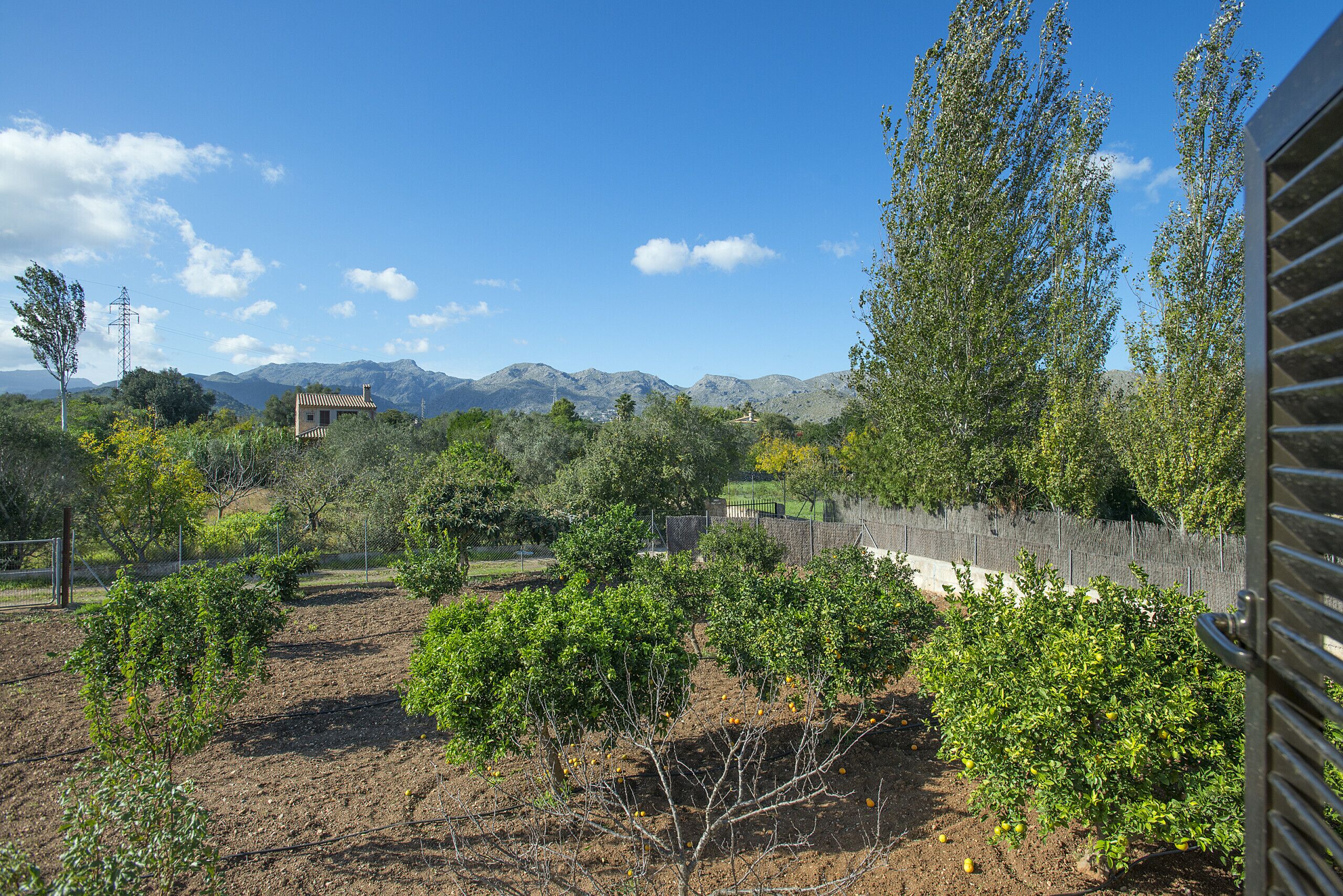 Villa Madrave