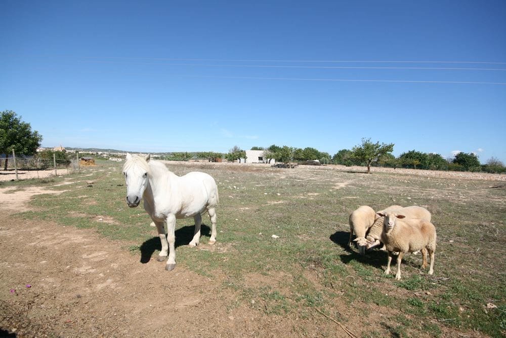 Finca Casa Maria