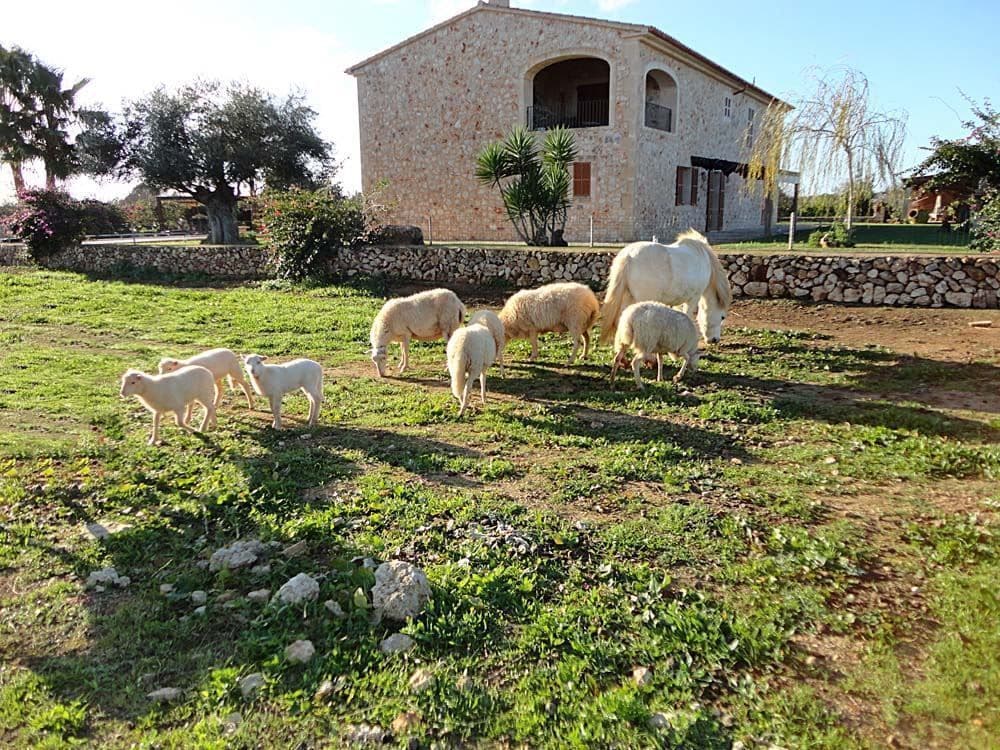 Finca Casa Maria