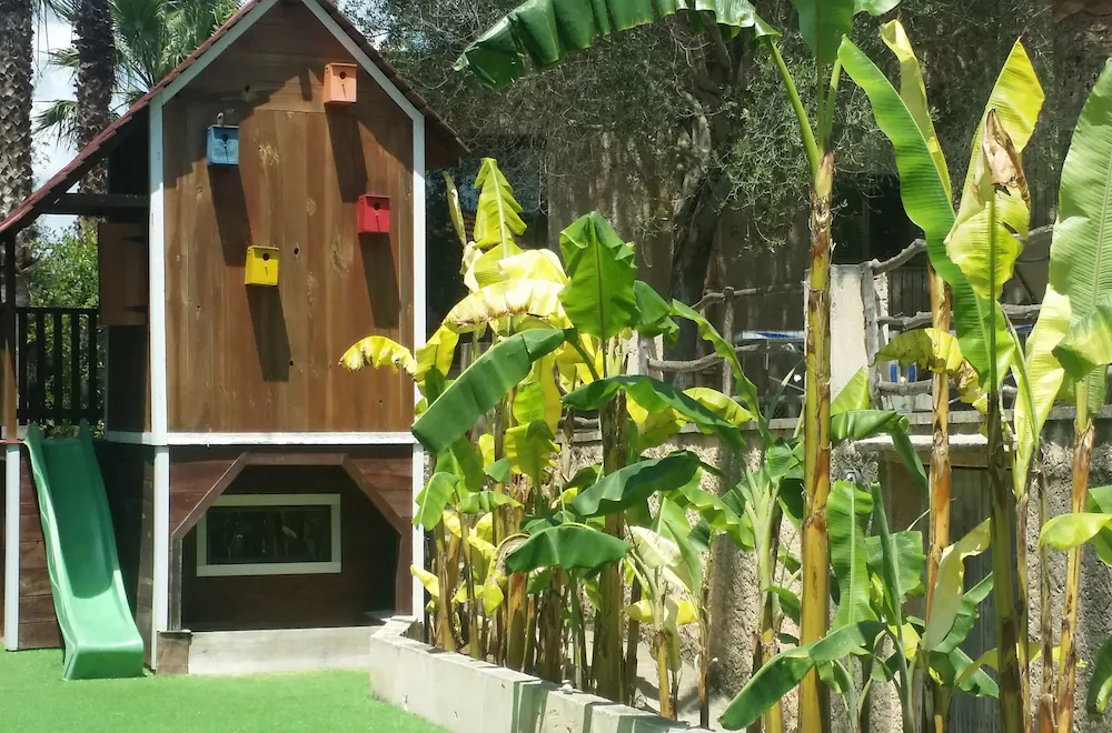 Casa Comte