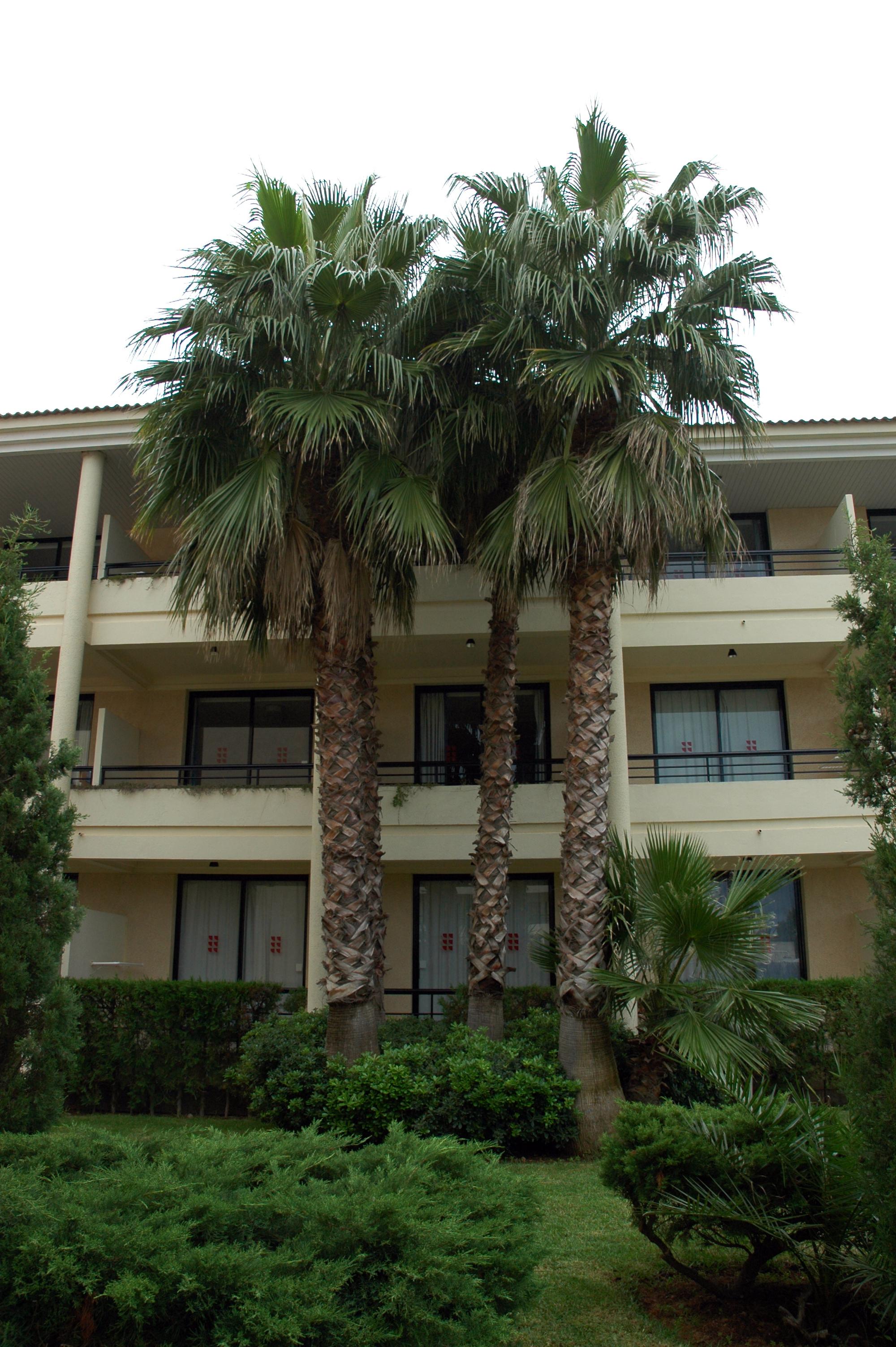 Bahia Pollensa