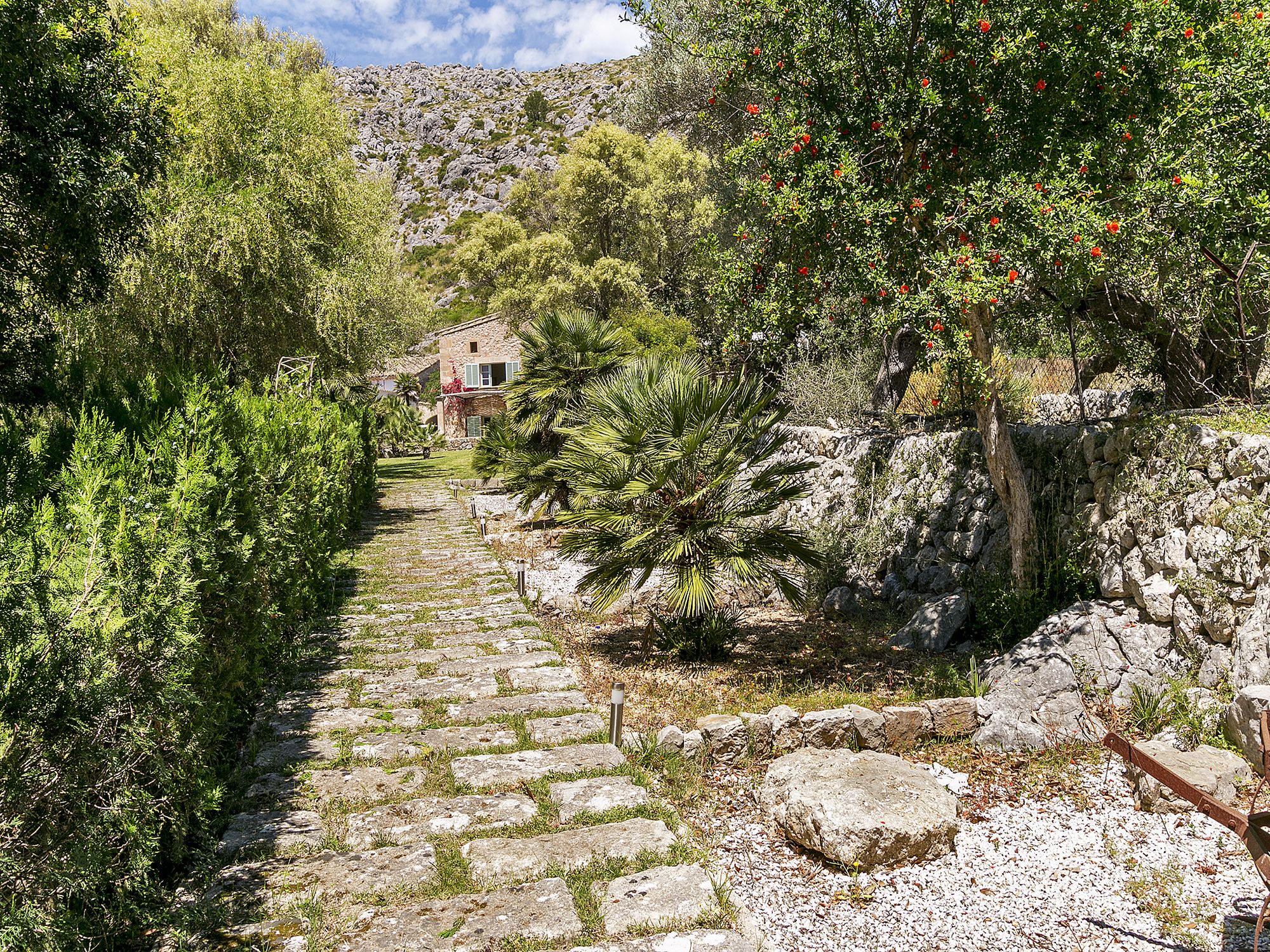 Finca Can Segui