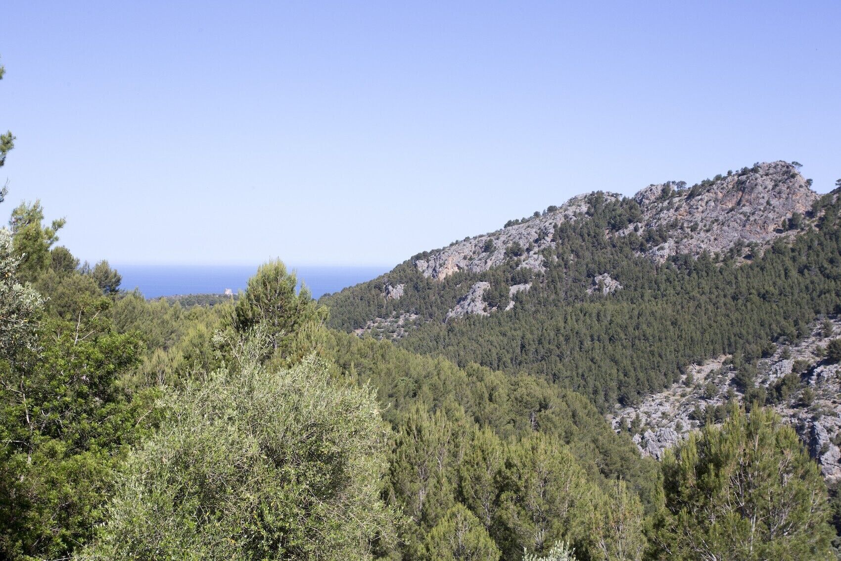 Villa Es Coco Soller
