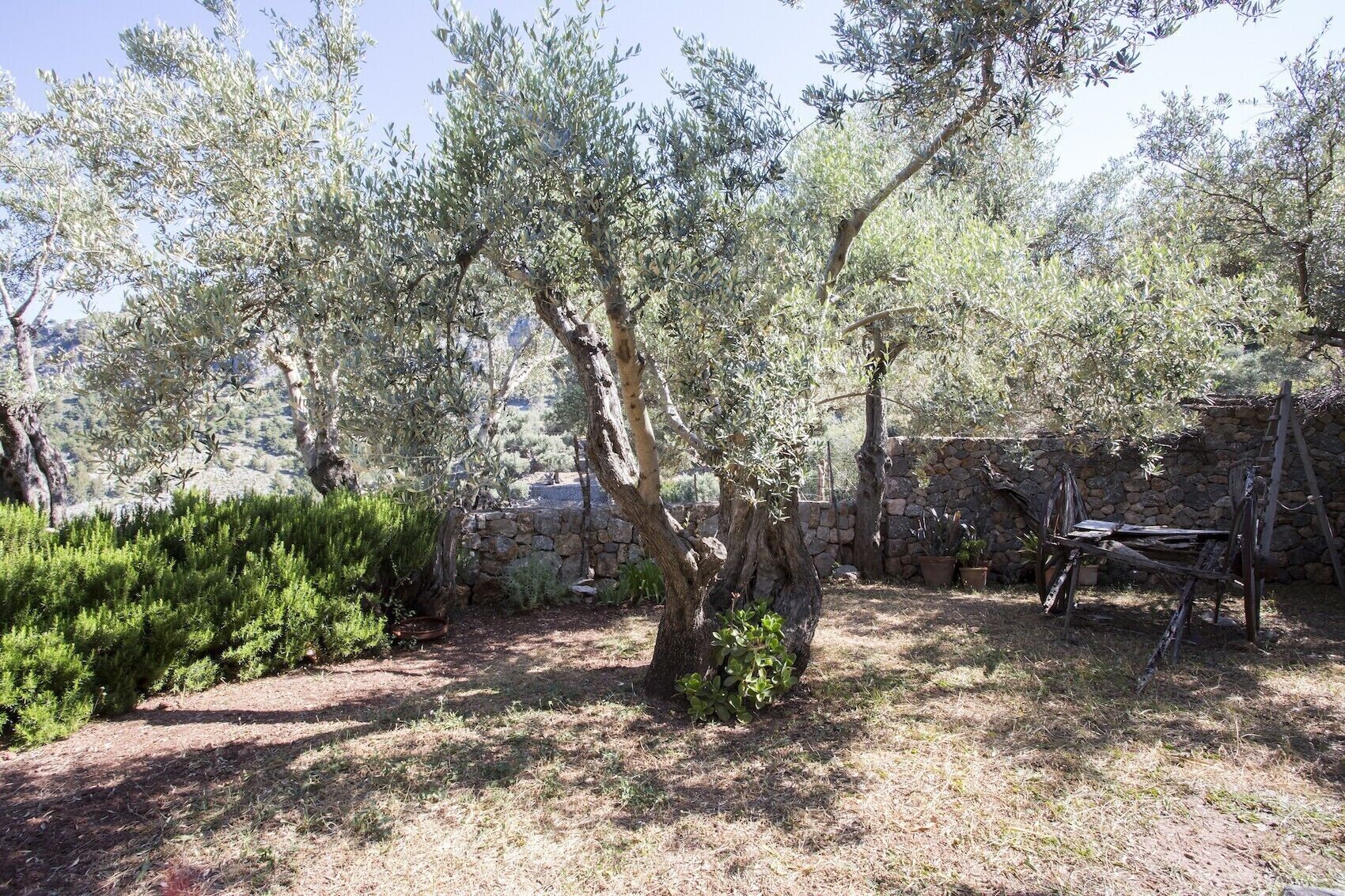 Villa Es Coco Soller