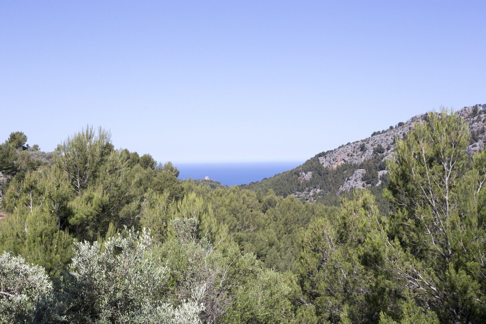 Villa Es Coco Soller