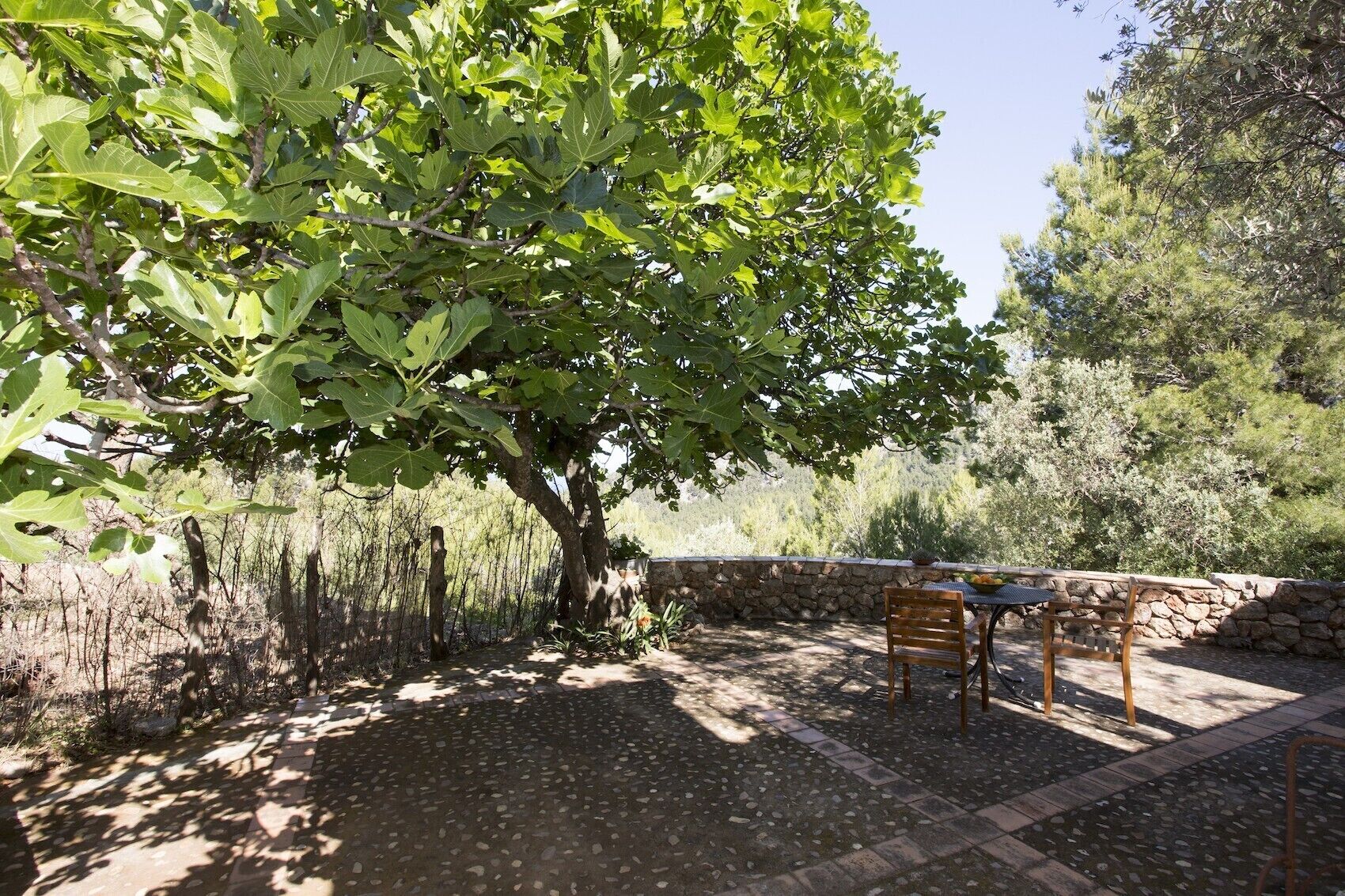 Villa Es Coco Soller