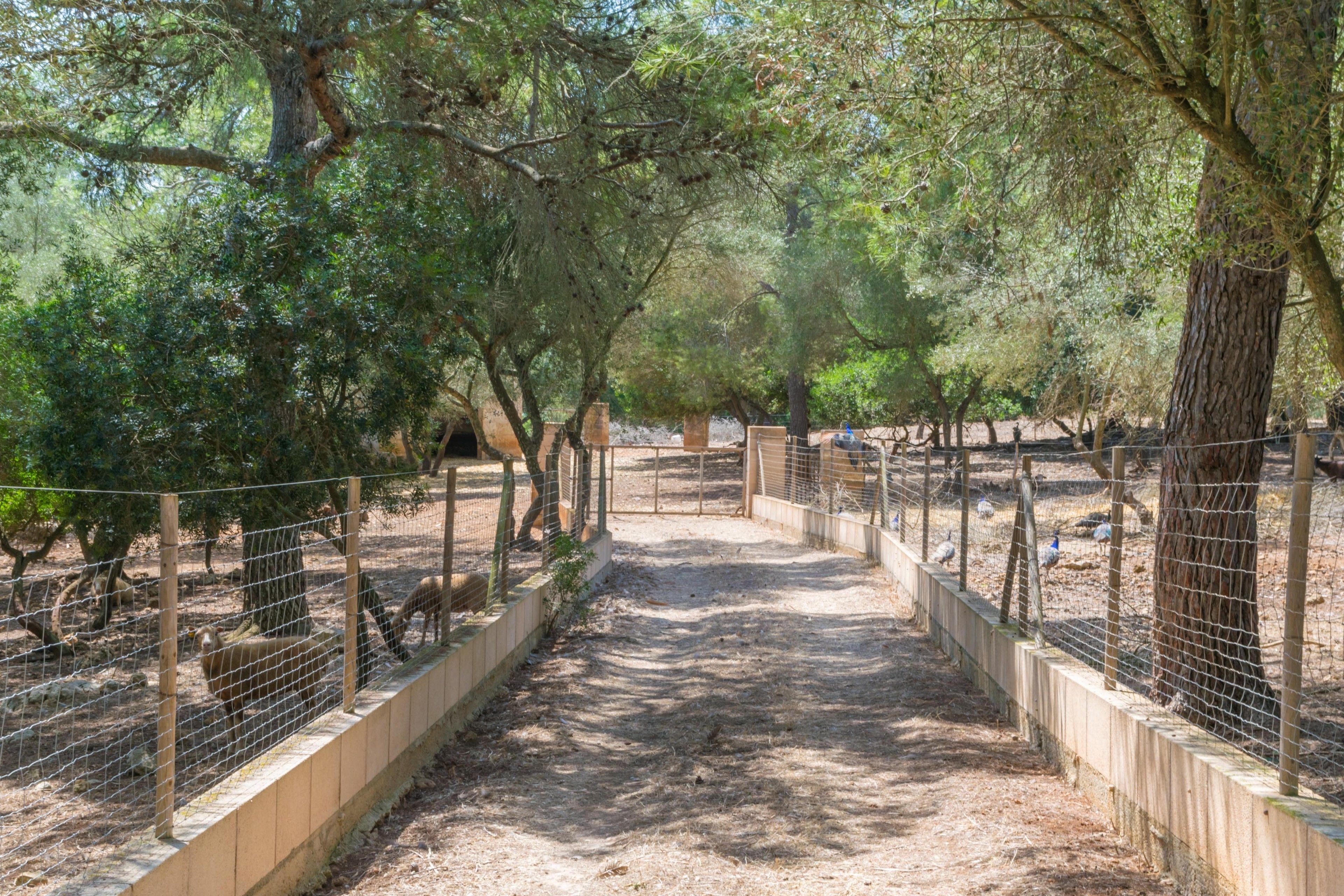 Finca Son Baulo