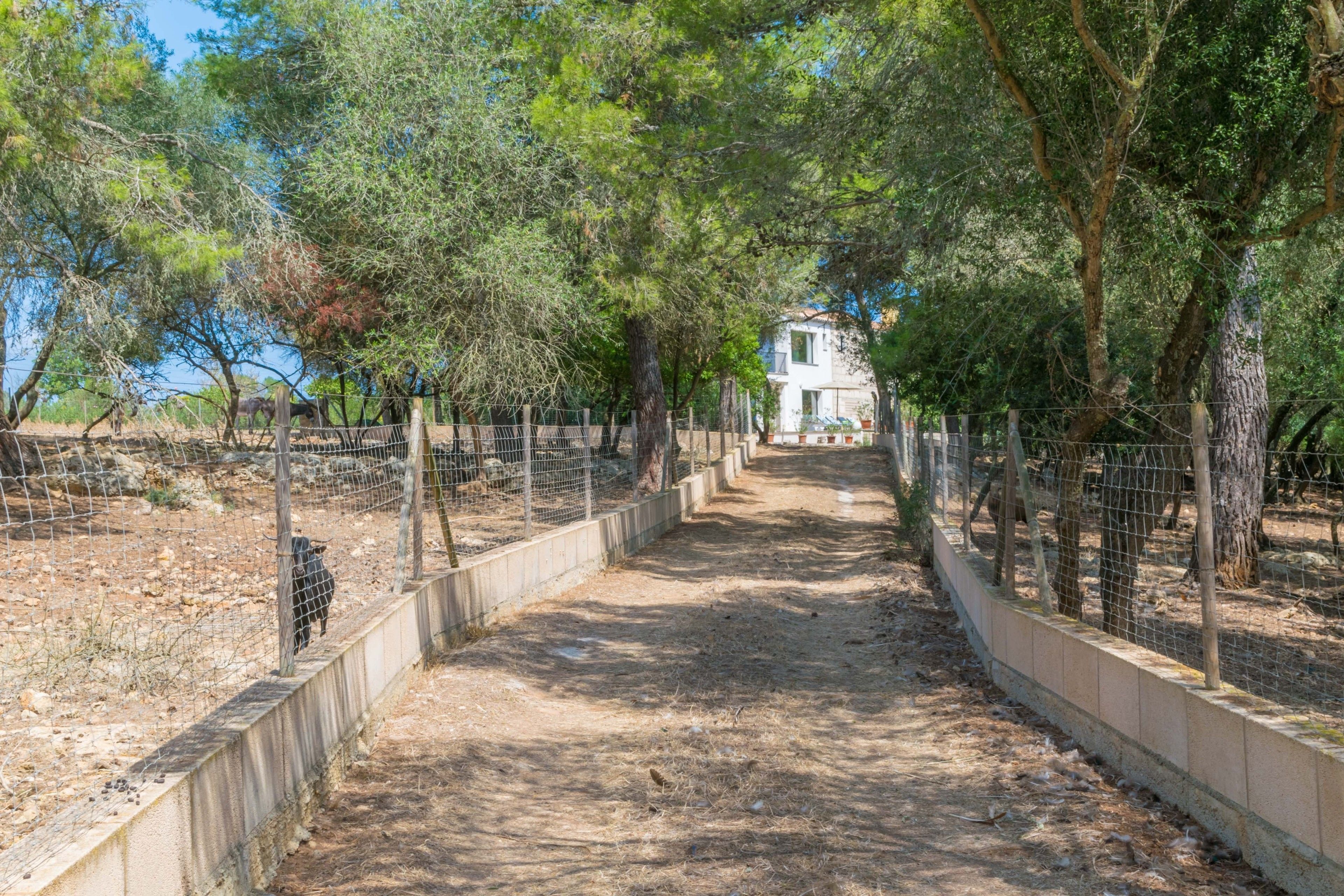 Finca Son Baulo