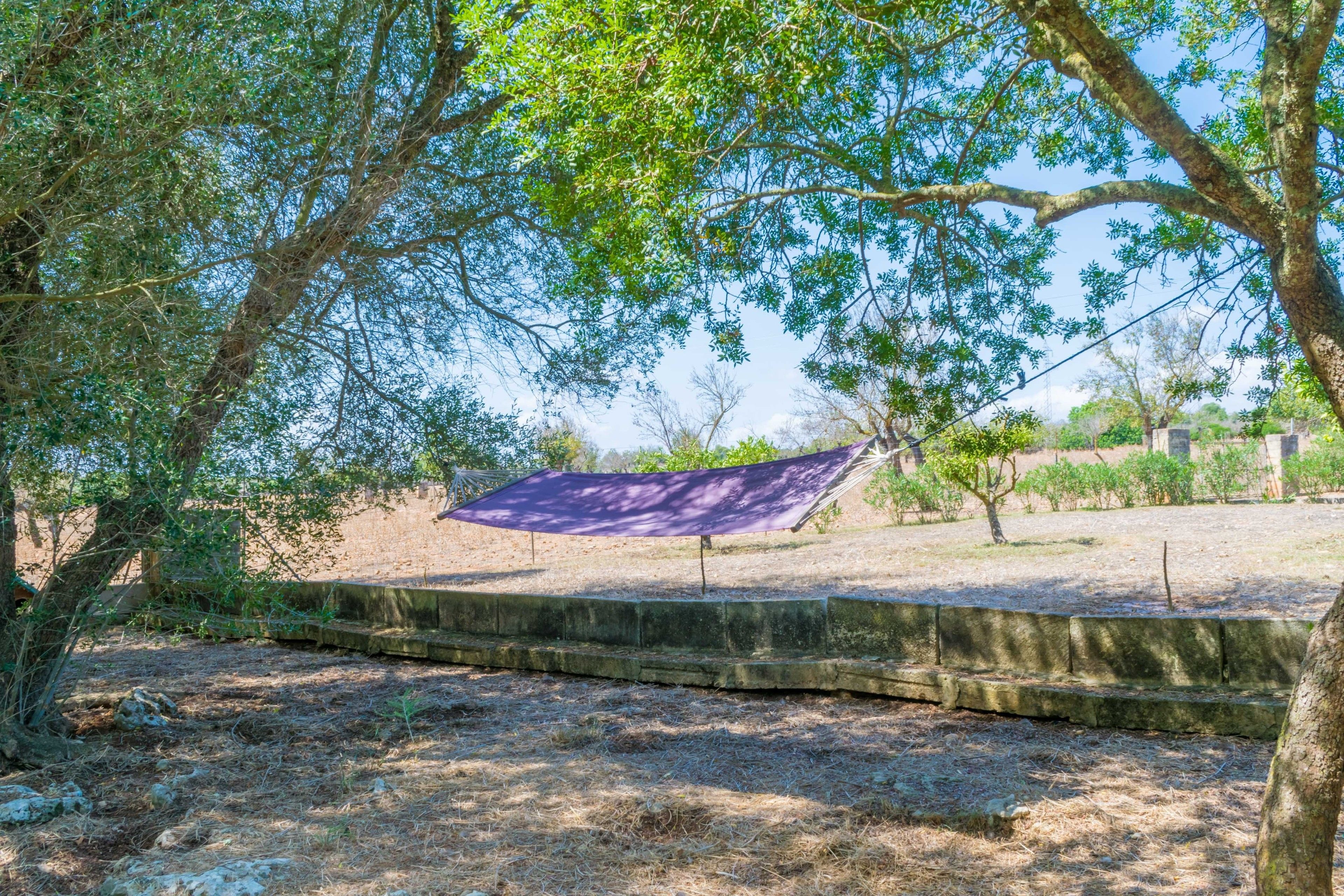 Finca Son Baulo