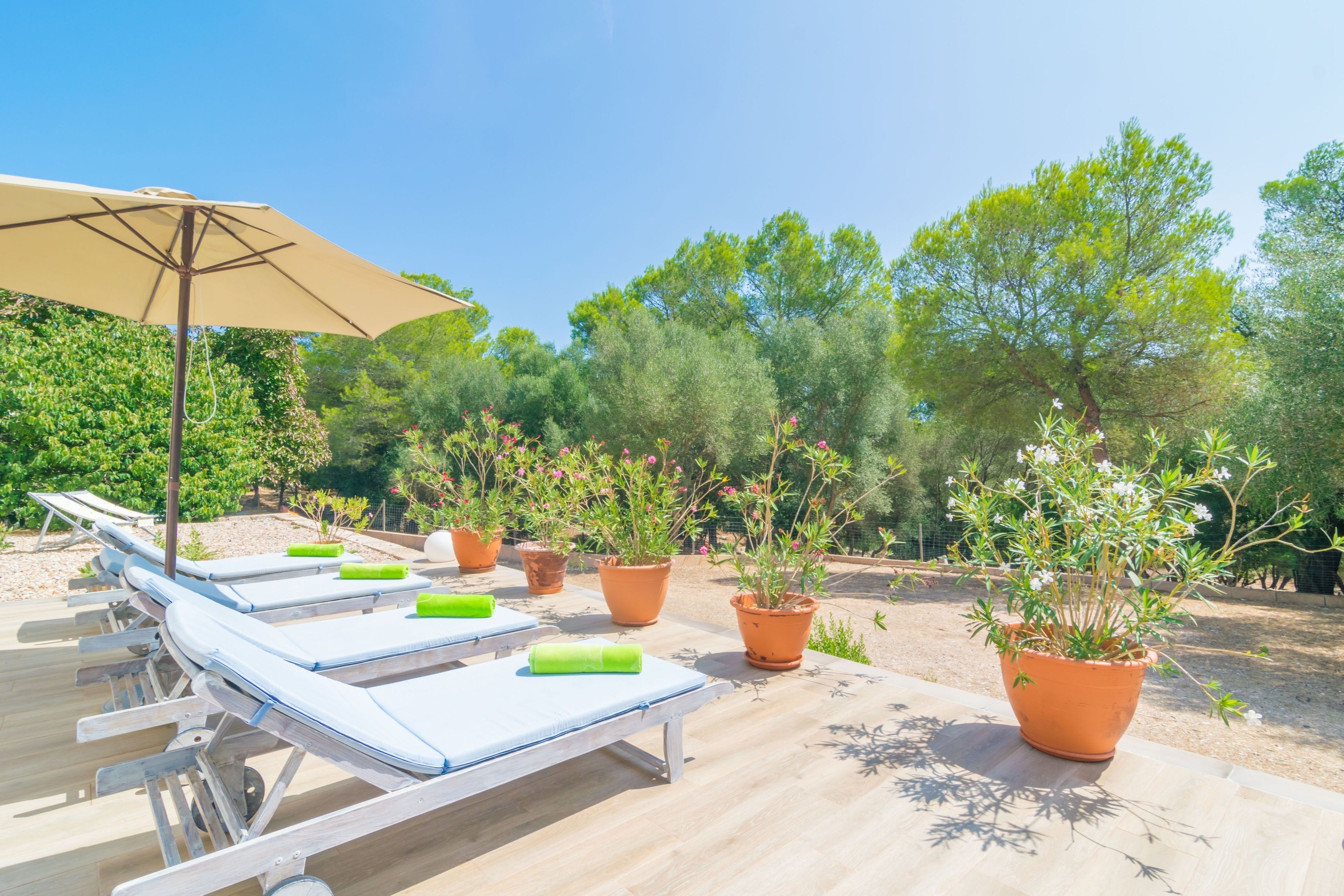 Finca Son Baulo