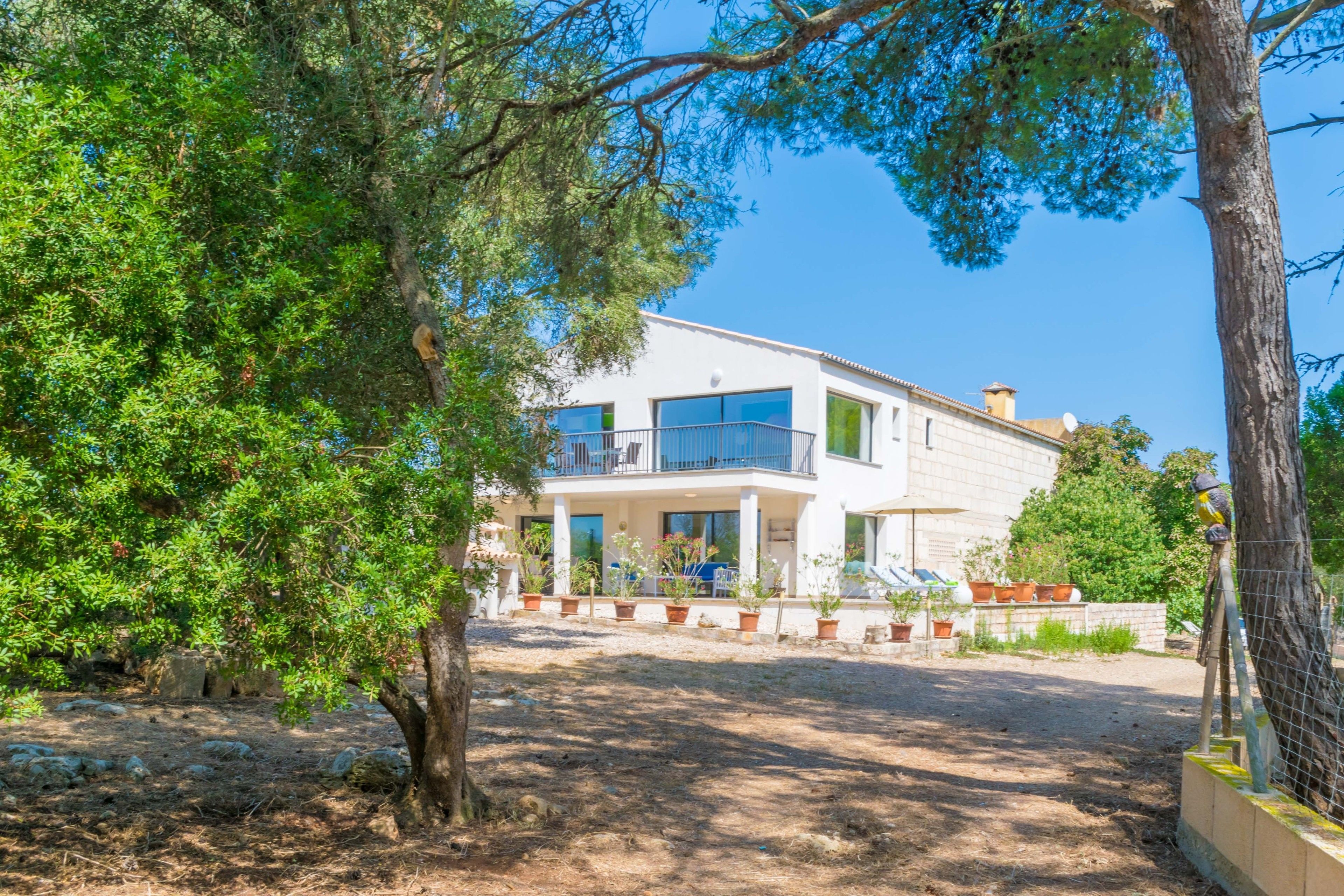 Finca Son Baulo