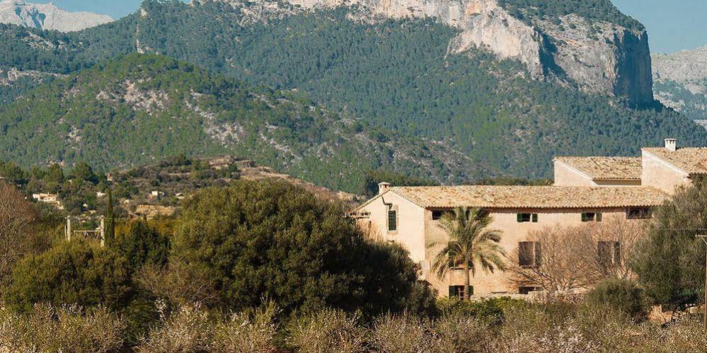 Finca Sarbosar