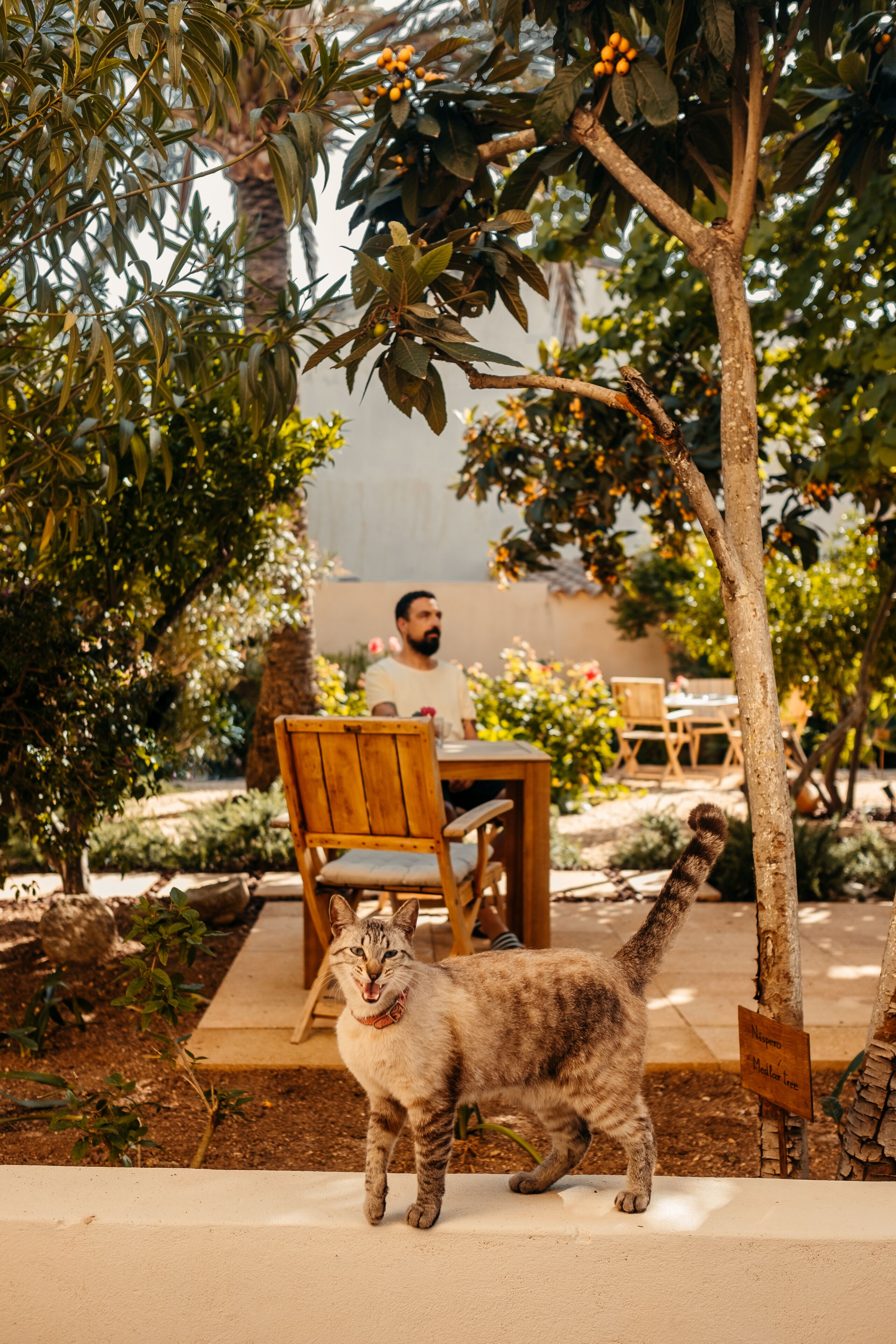 Hotel Boutique Can Pocovi