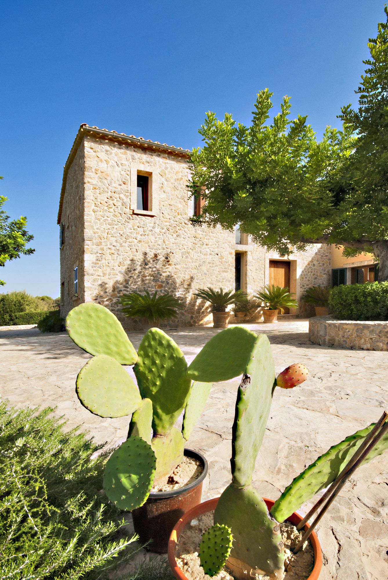 Finca Alzina