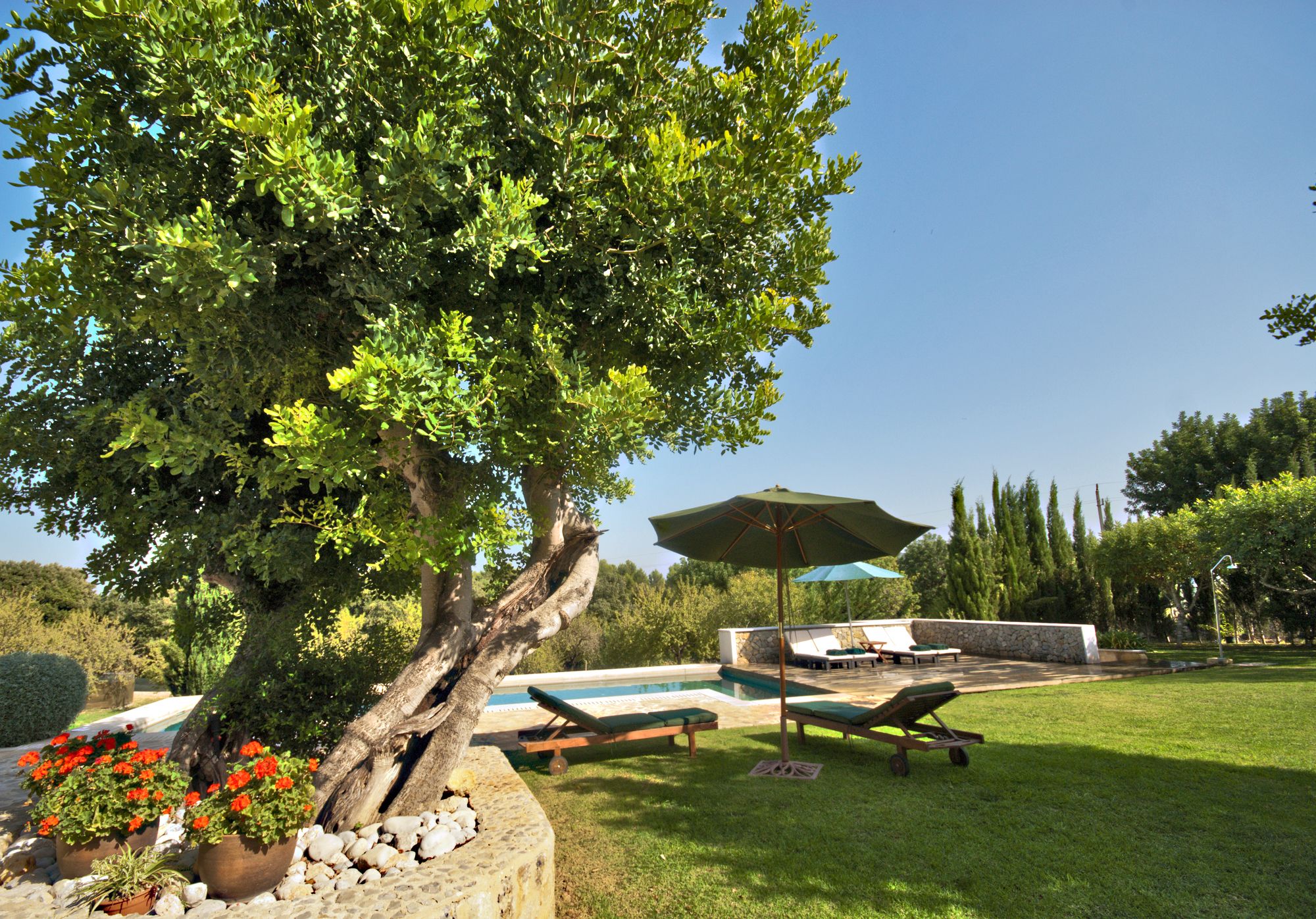 Finca Alzina