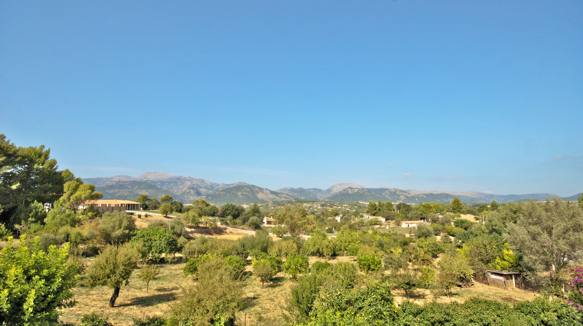 Finca Alzina
