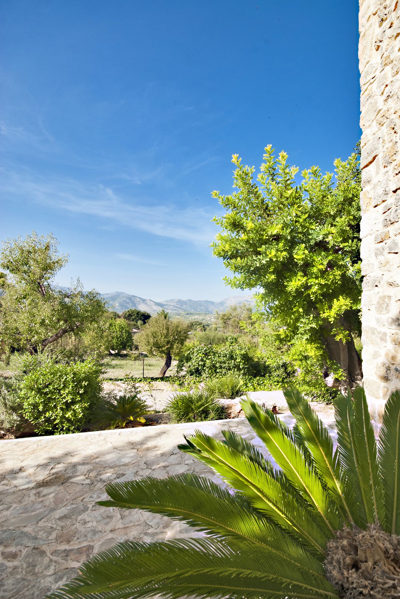 Finca Alzina