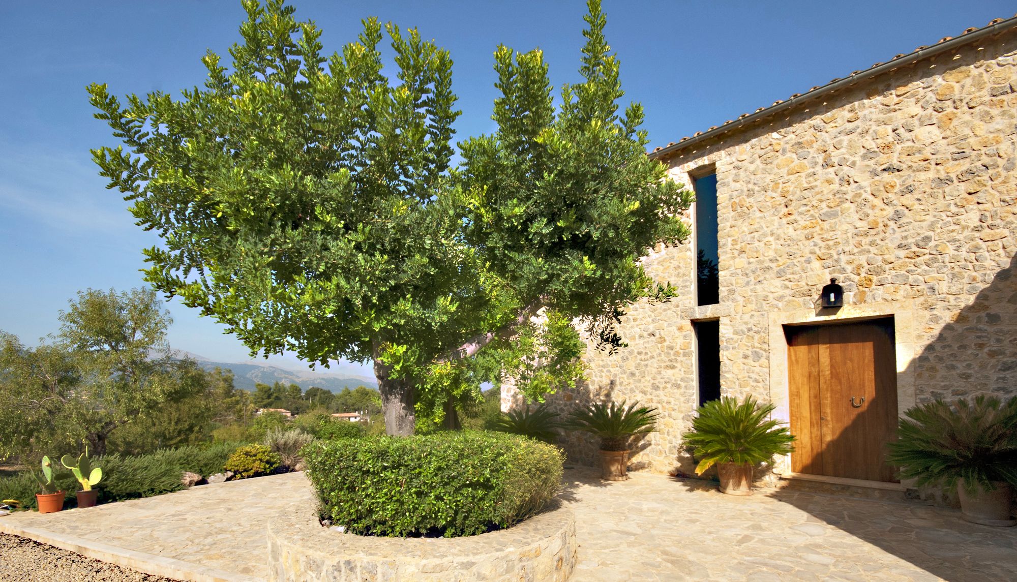 Finca Alzina