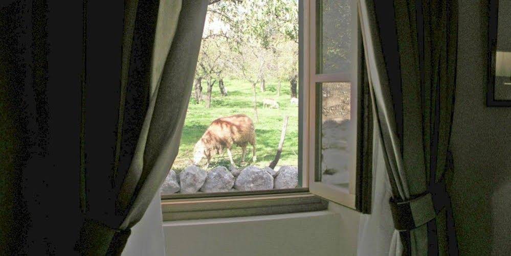 S’Hort de Cas Missèr