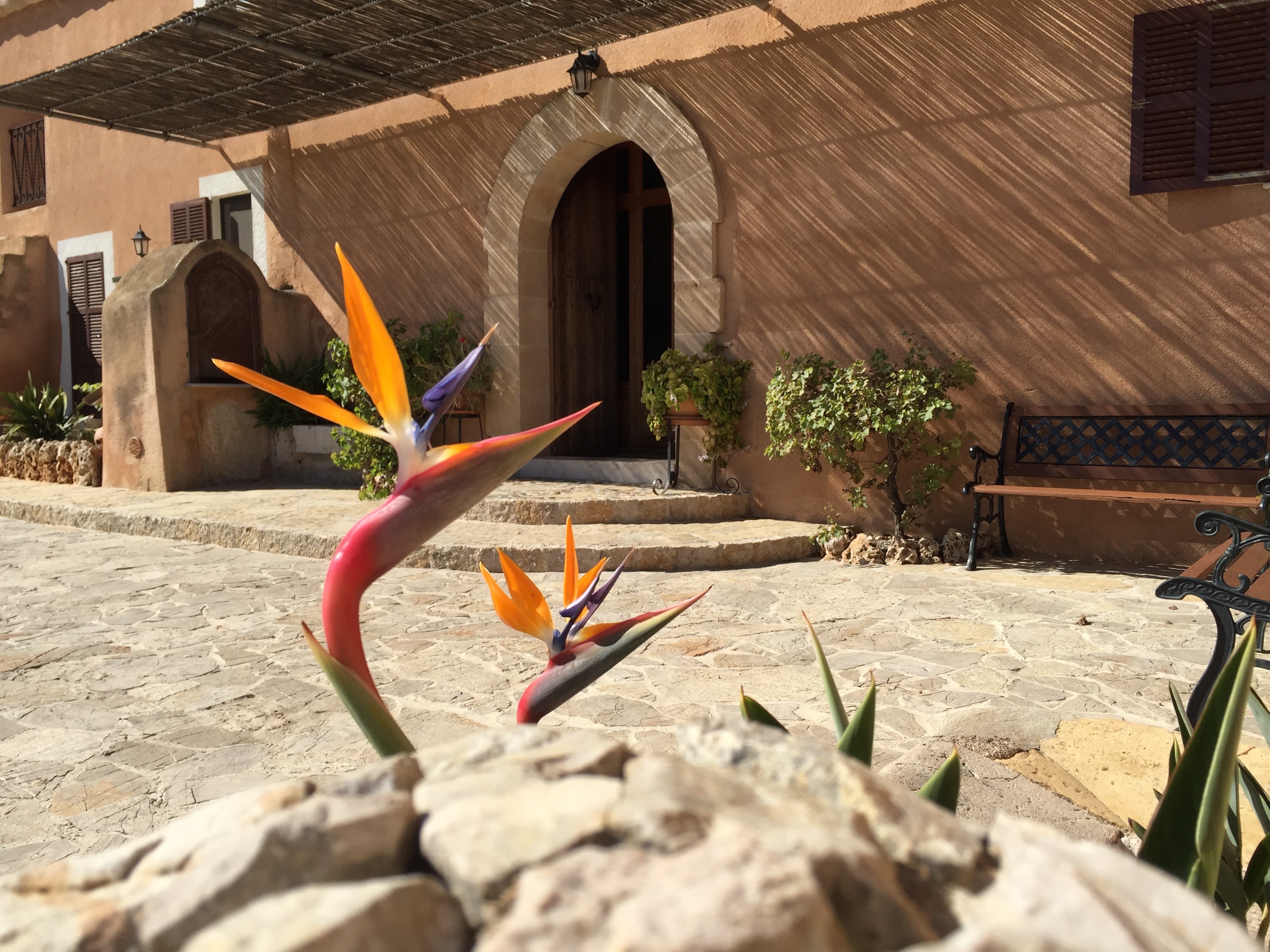 Agroturisme Es Picot