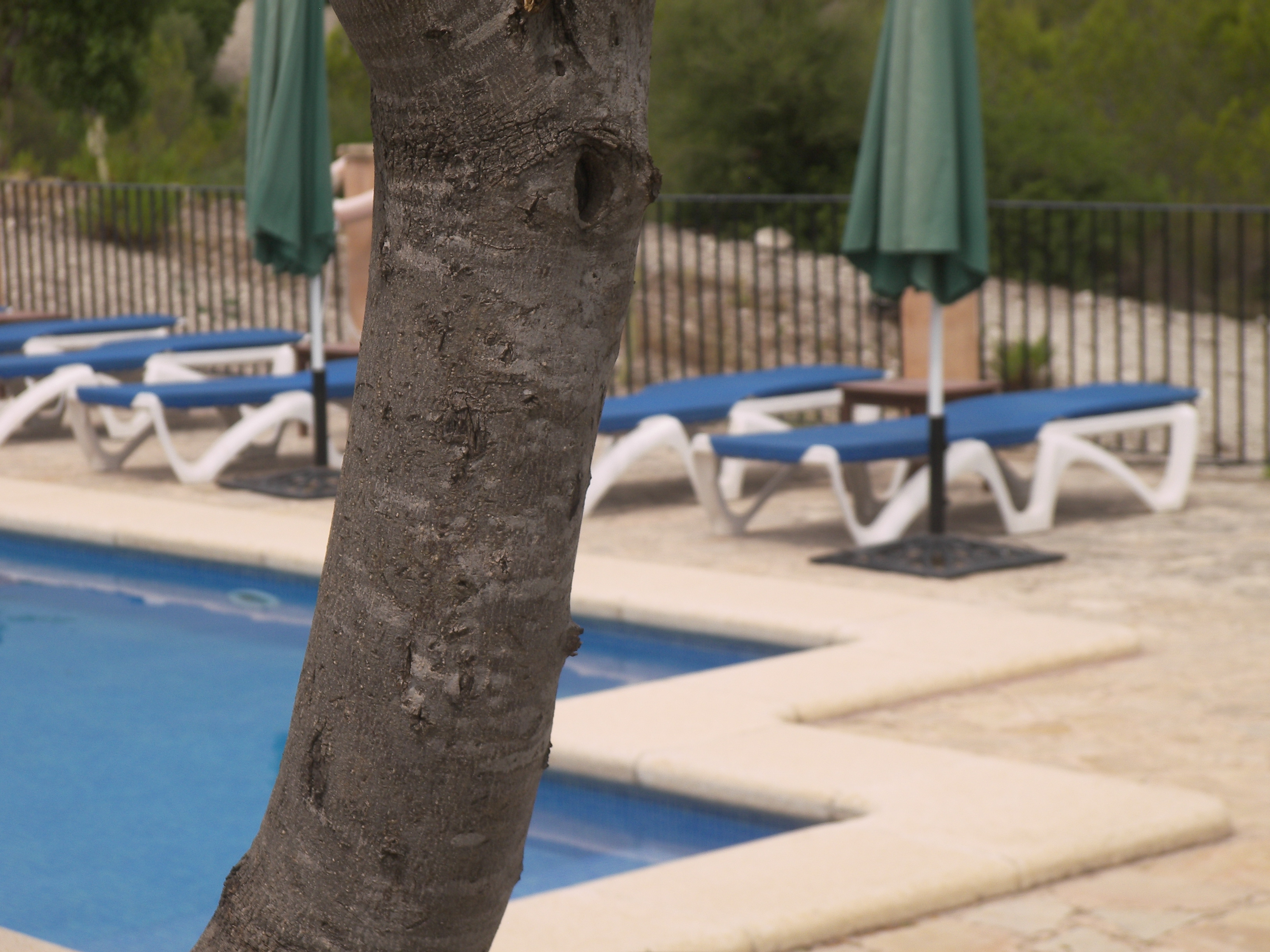 Agroturisme Es Picot