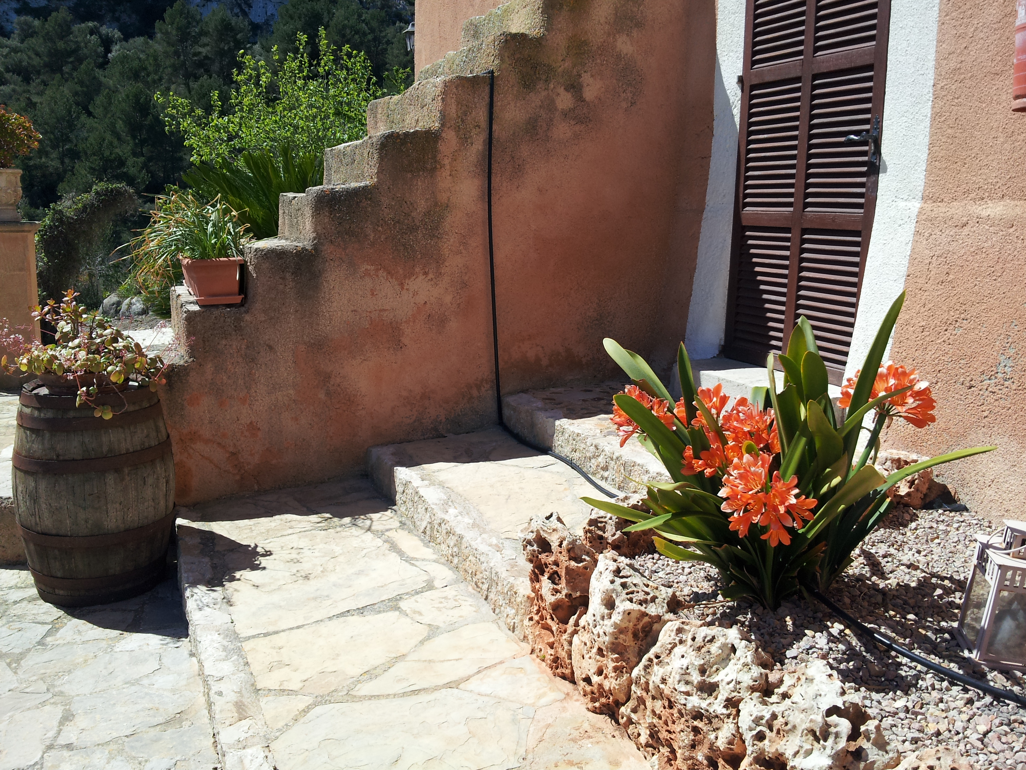 Agroturisme Es Picot