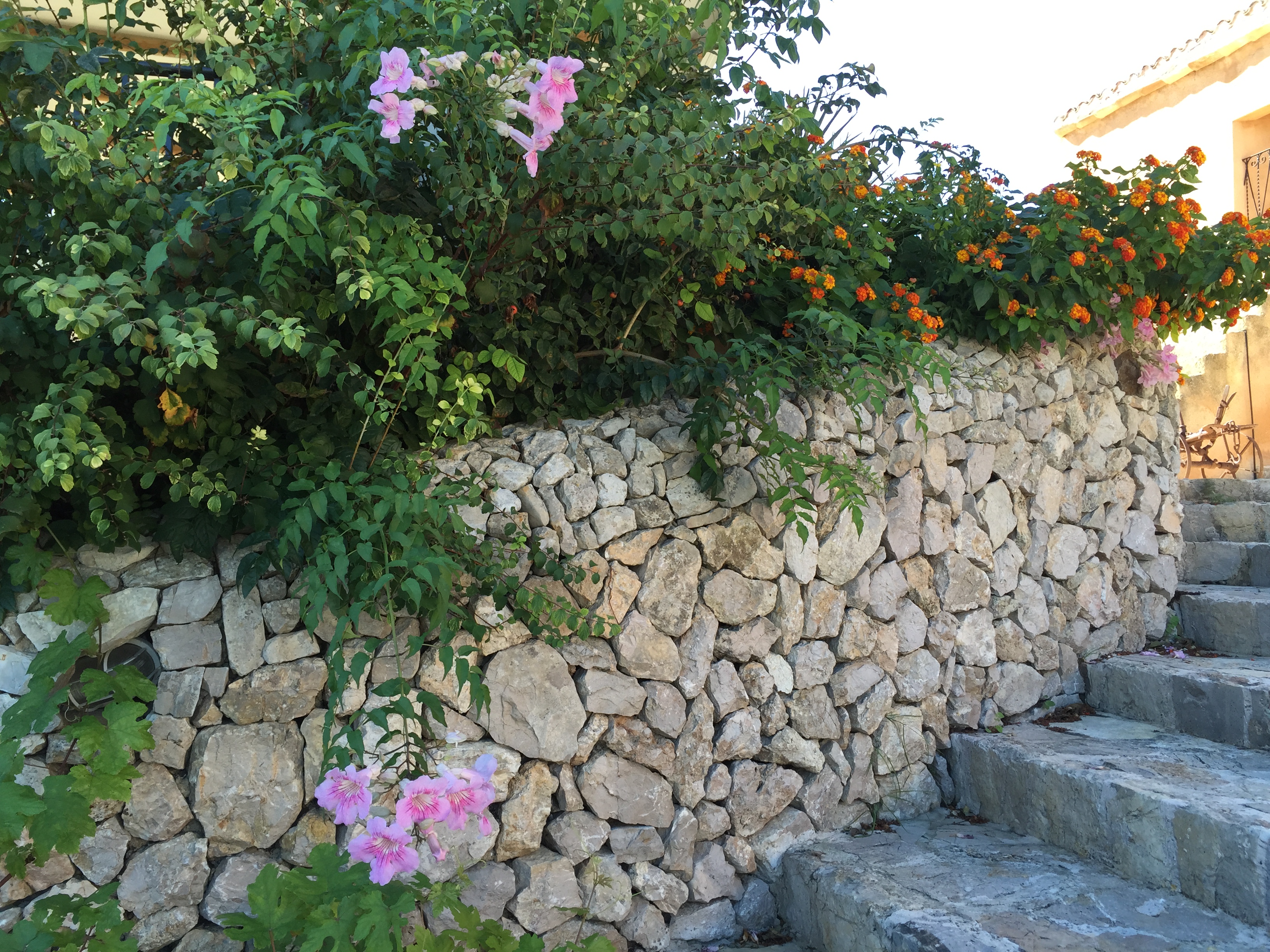 Agroturisme Es Picot