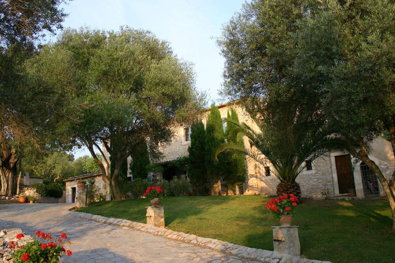 Finca Son Mola Vell