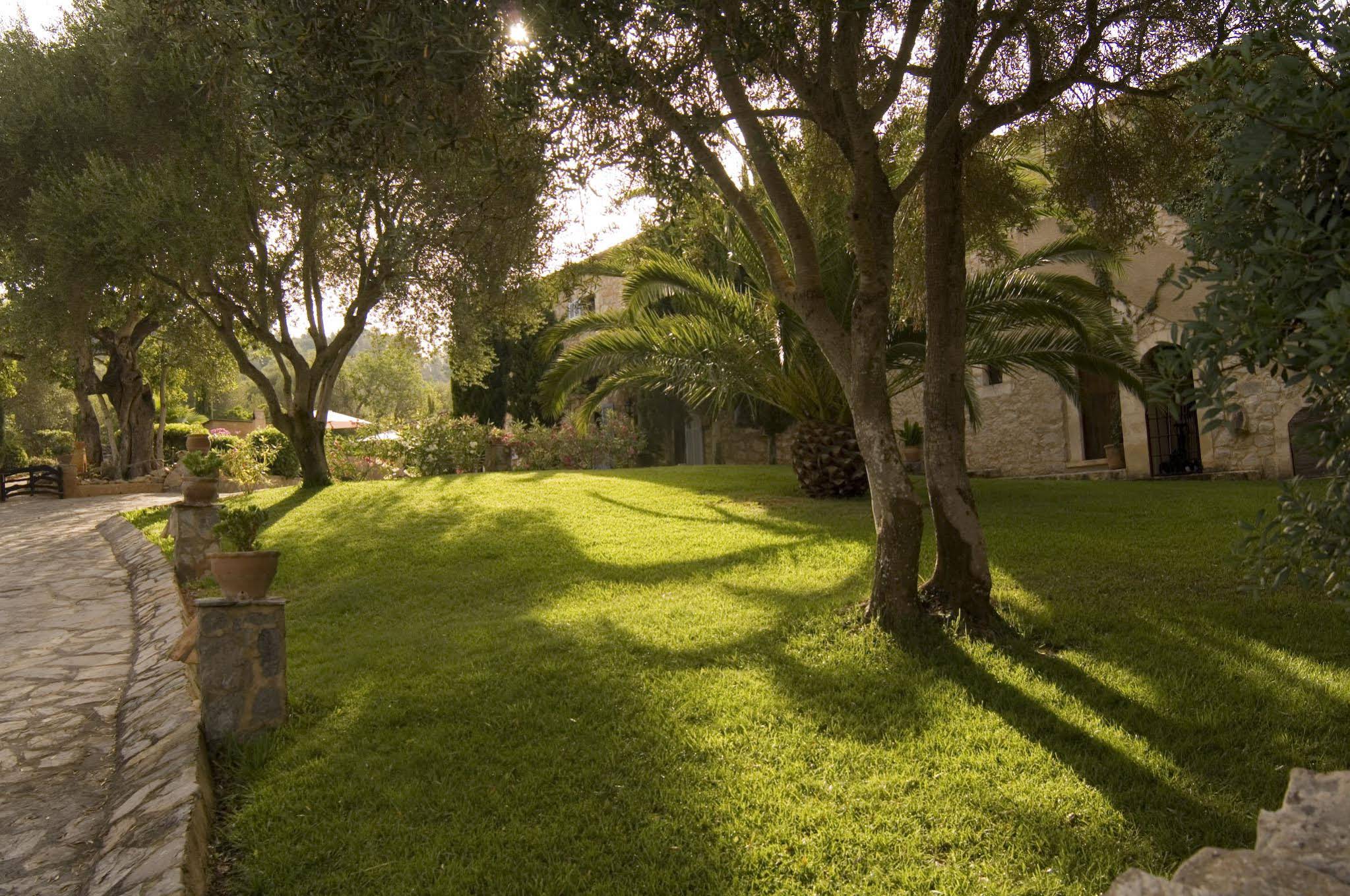 Finca Son Mola Vell