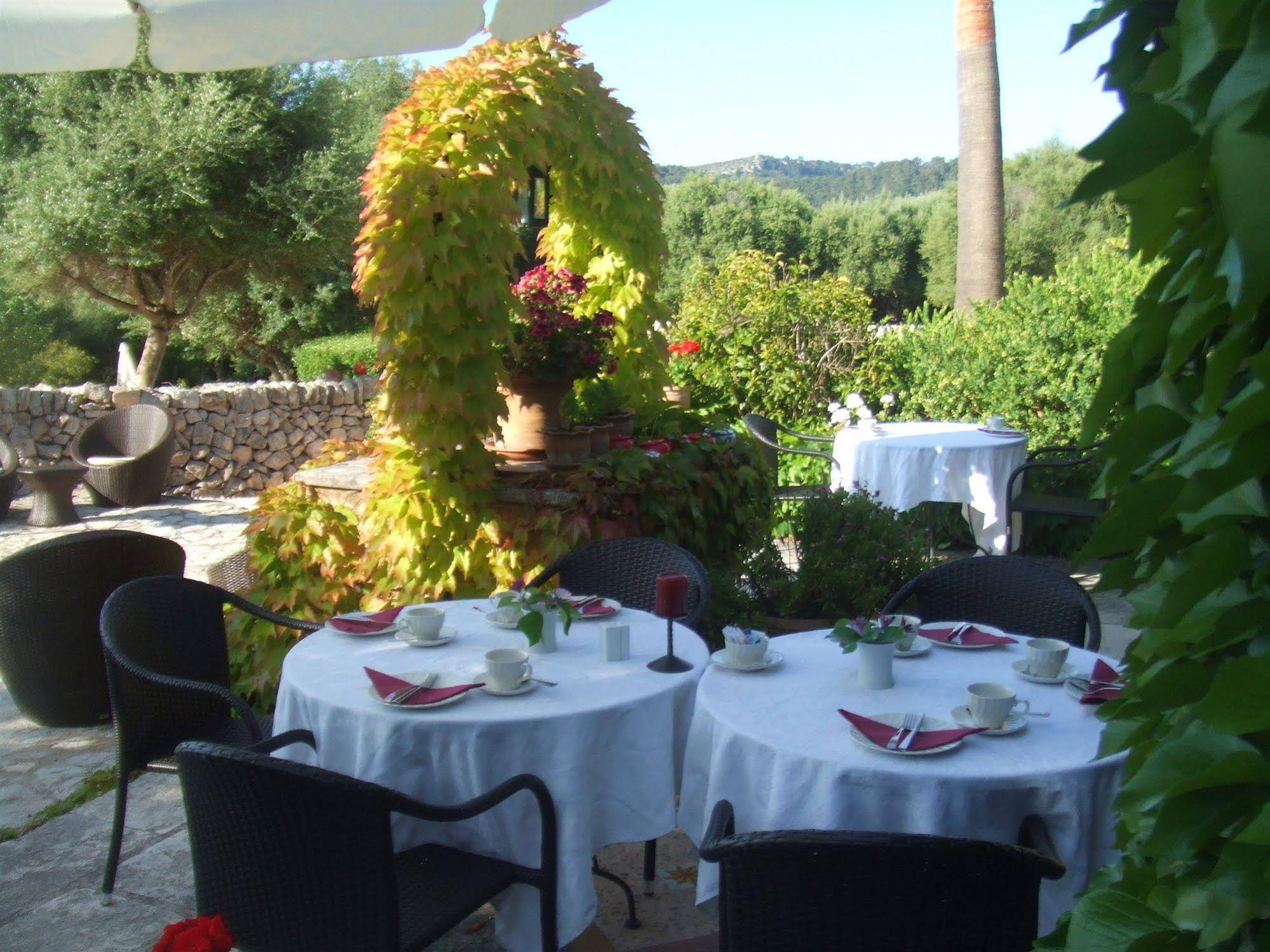 Finca Son Mola Vell