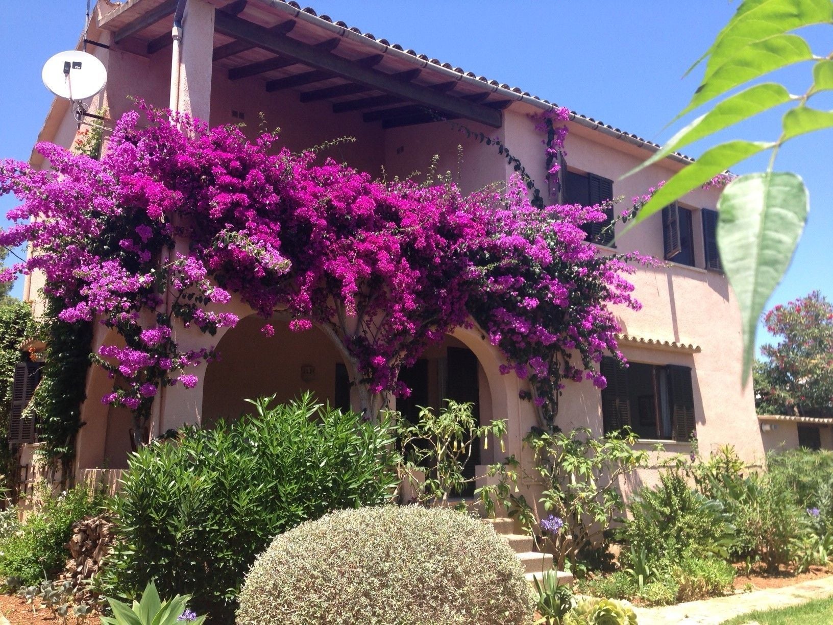 Casa Millor