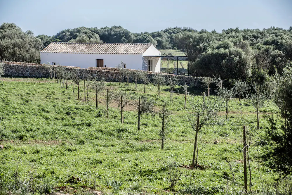 Santa Ponsa Fontenille Menorca