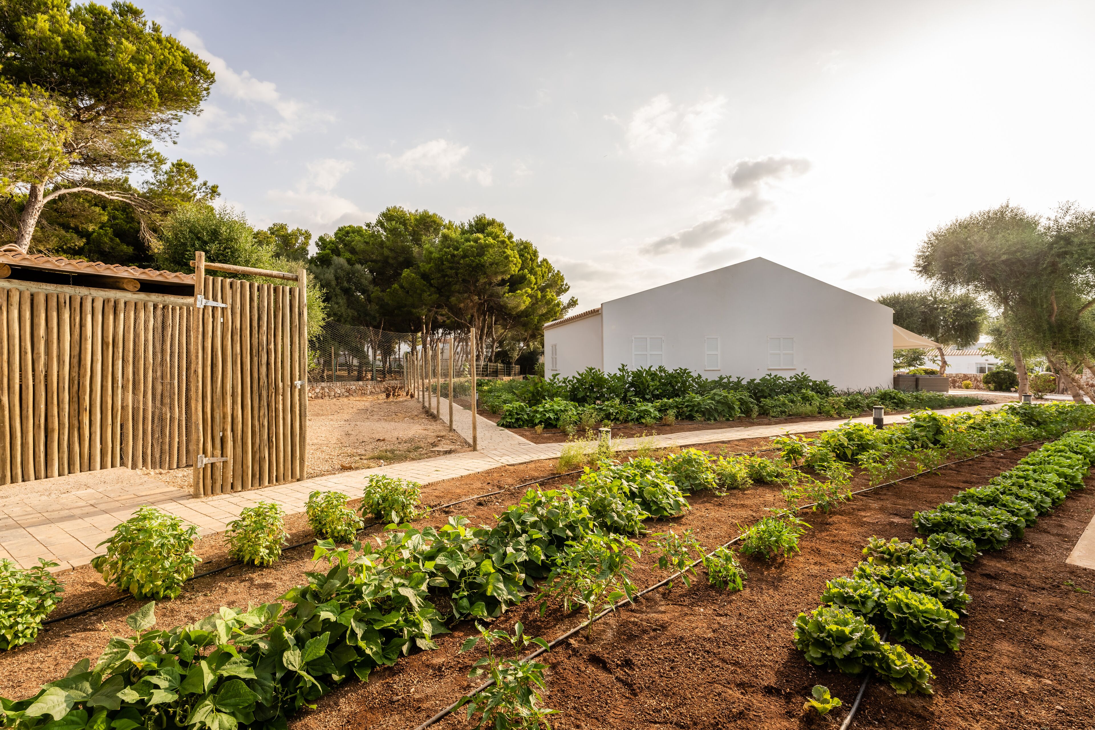 Villas & Bungalows del Lago