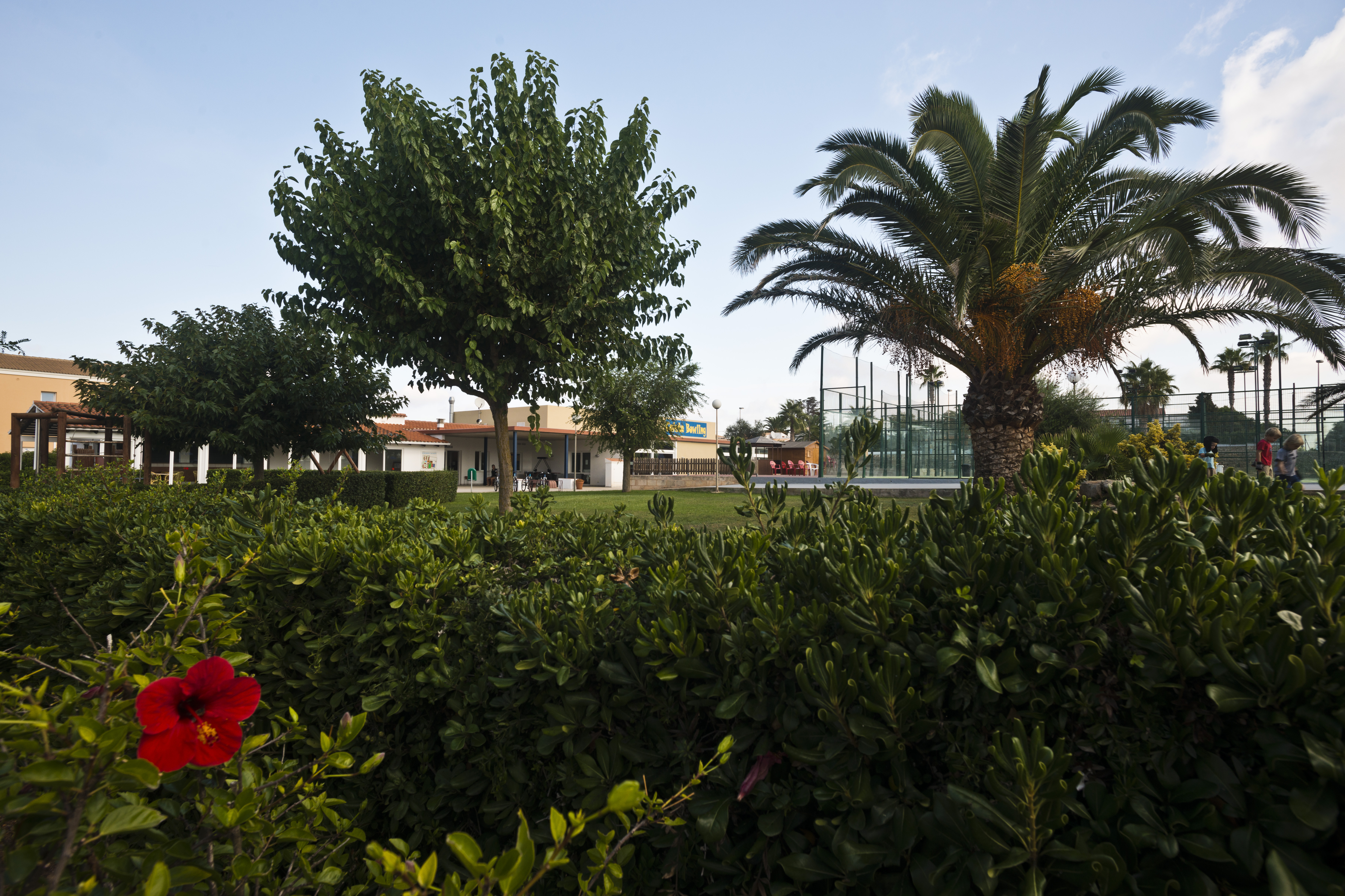Apartaments Sa Caleta