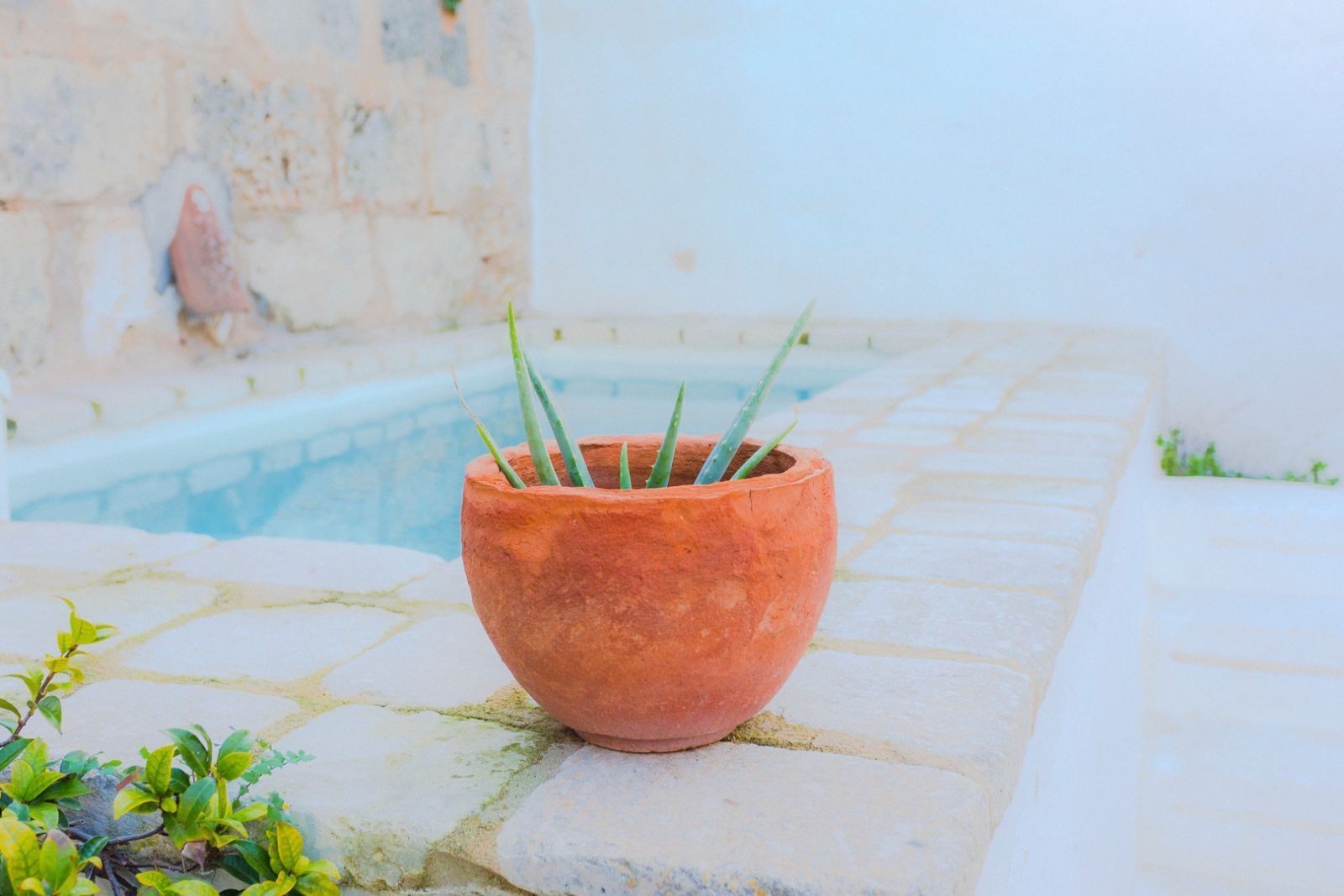 Coliving AdD LiVitum