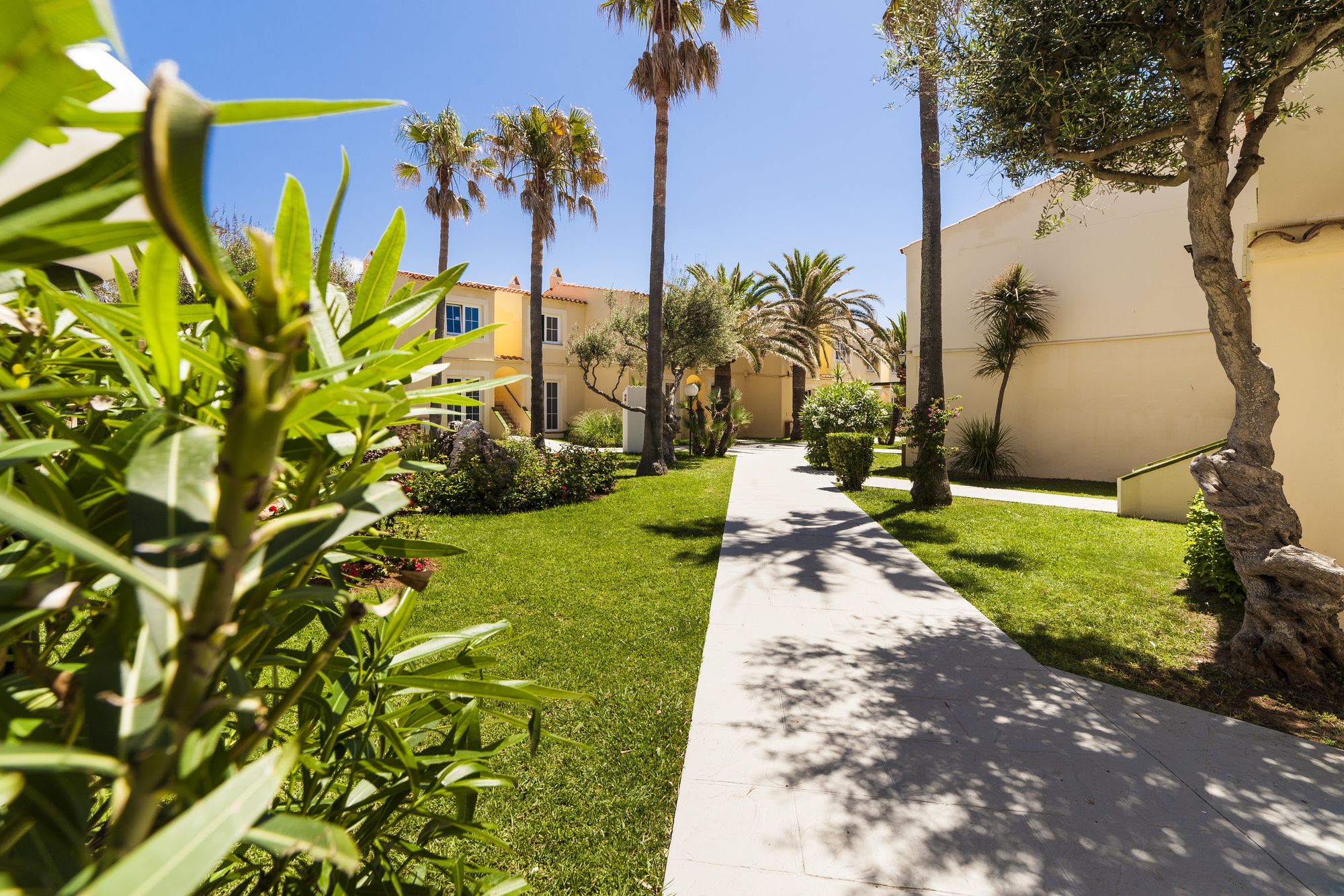 Globales Apartamentos Binimar