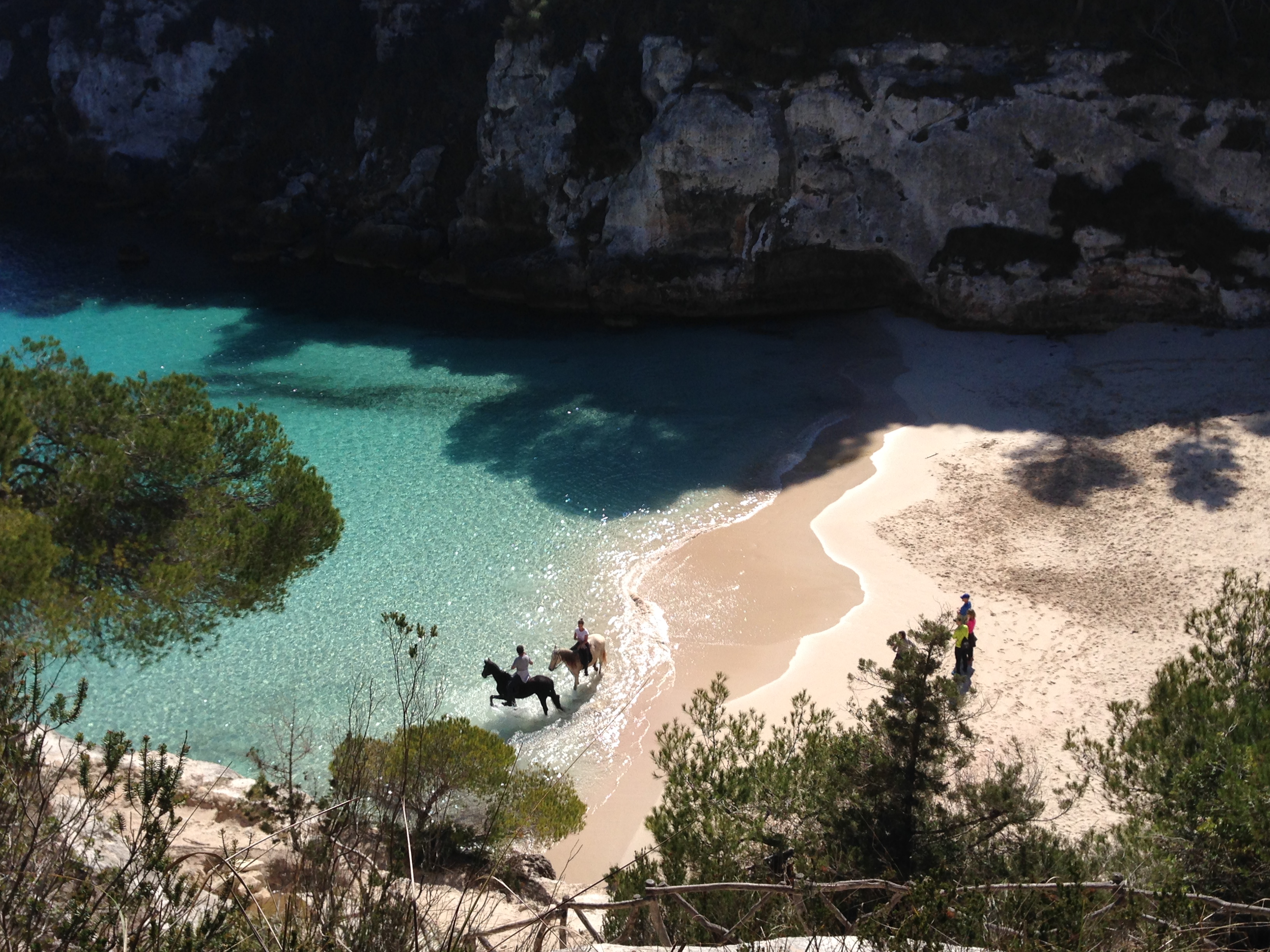 Rural Morvedra Nou